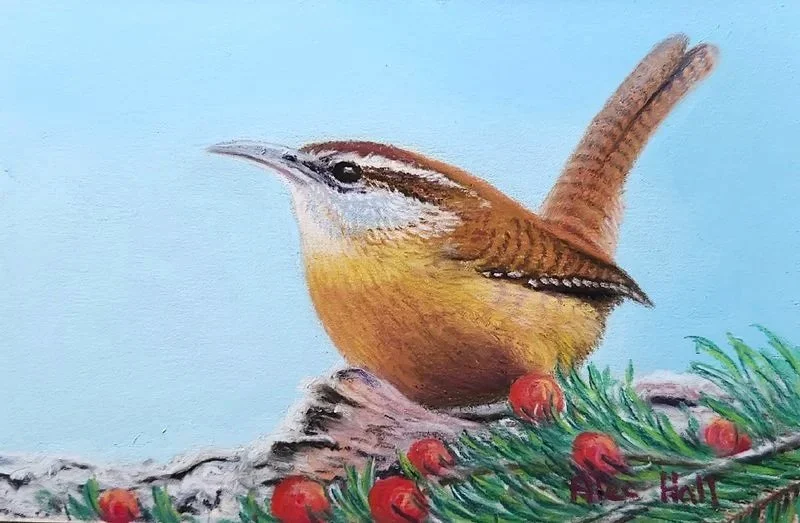 ALEC HALL ~ Winter Wren, 5 x 7, UART 500 grit, Rembrandt pastels and Carb-Othello pastel pencils - "We have several bird feeders on our deck and enjoy the array of birds the visit us each day.  One of our favorites is the spritely Carolina wren.  Alw