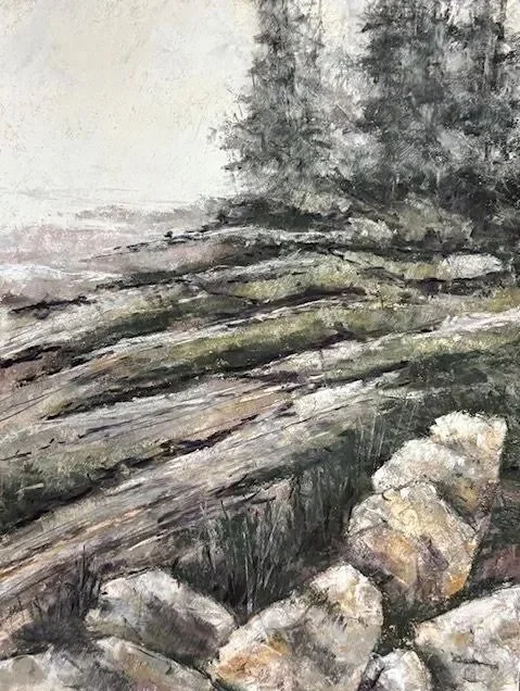 WILL EVANS ~ 12 x 16, U-Art 400 - "This was blocked in with Nupastels and finished primarily with Terry Ludwig’s. A rocky Maine shoreline, a jumble of worn granite and weathered pines on a perfect misty day. Thanks to APS for another great challenge.