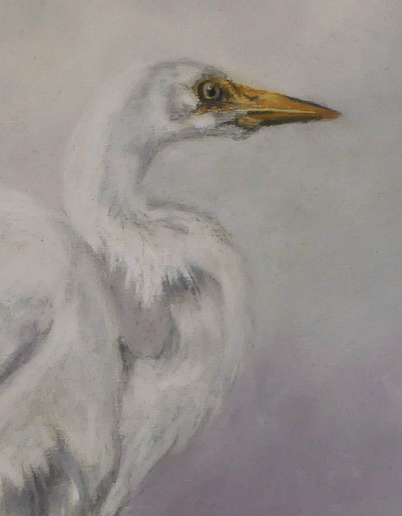 LINDA MEDDERS ~ Mixed pastels and pastel pencil on Uart - "Just playing around with white pastel nothing serious."