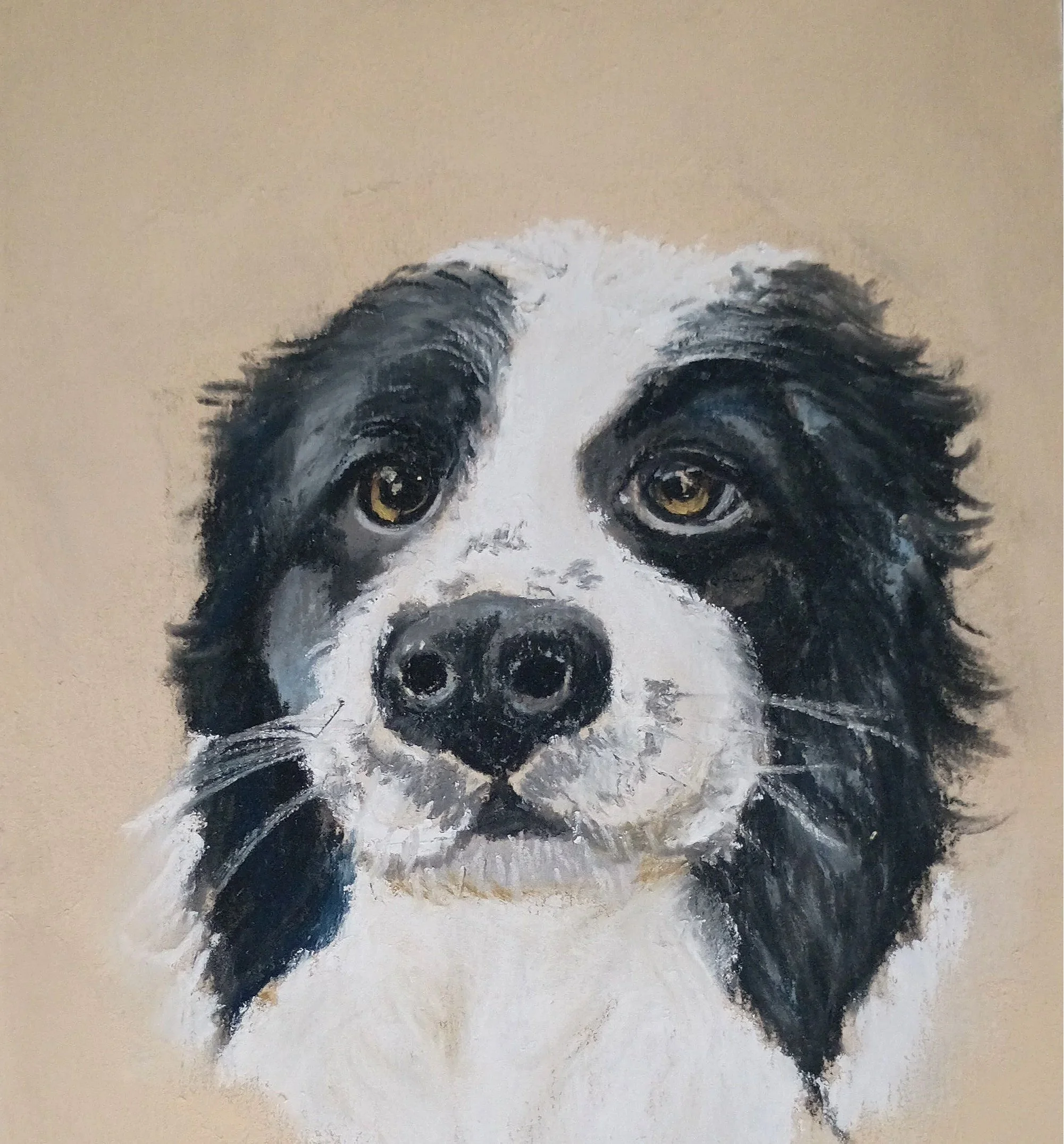 JAN JACKSON ~ Marlee,  7 x 5 - "A Christmas commission. The challenge was getting her, along with 4 other pups, finished by Christmas!!!"