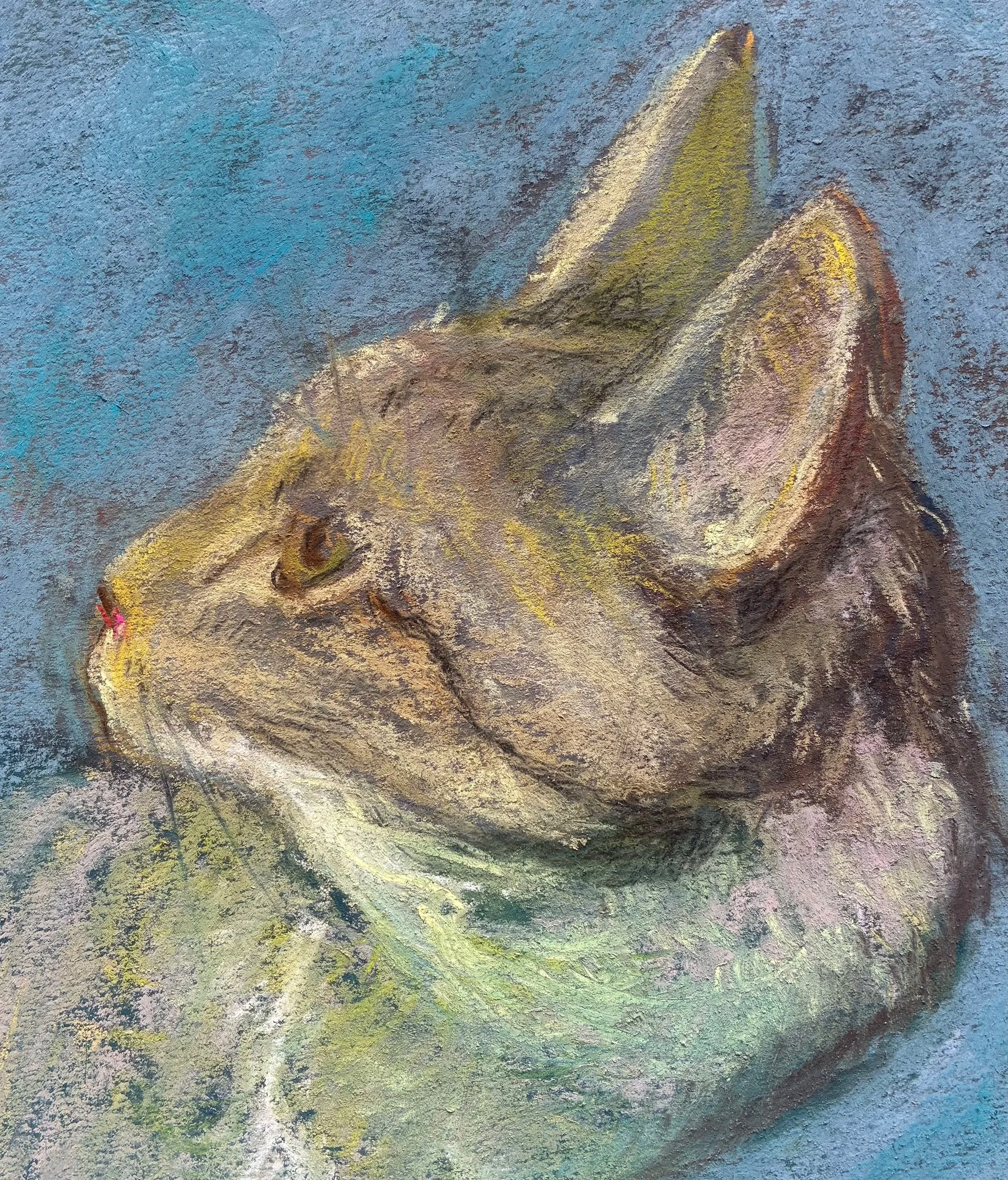 MARGARET LYN-SOROKEN ~ Maude, 9 x 8, pastel on color ground - "Sketched over on previous image - my cat Maude... wishing you all season’s greetings!"