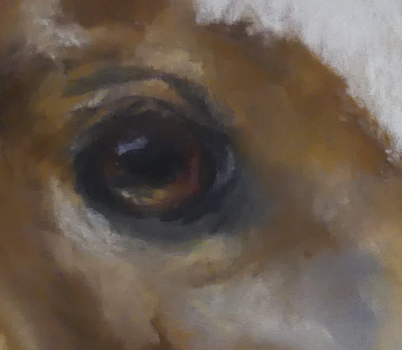 LINDA MEDDERS JACKSON ~ mixed pastel on UART - "Practicing an eye -
foal as a model."