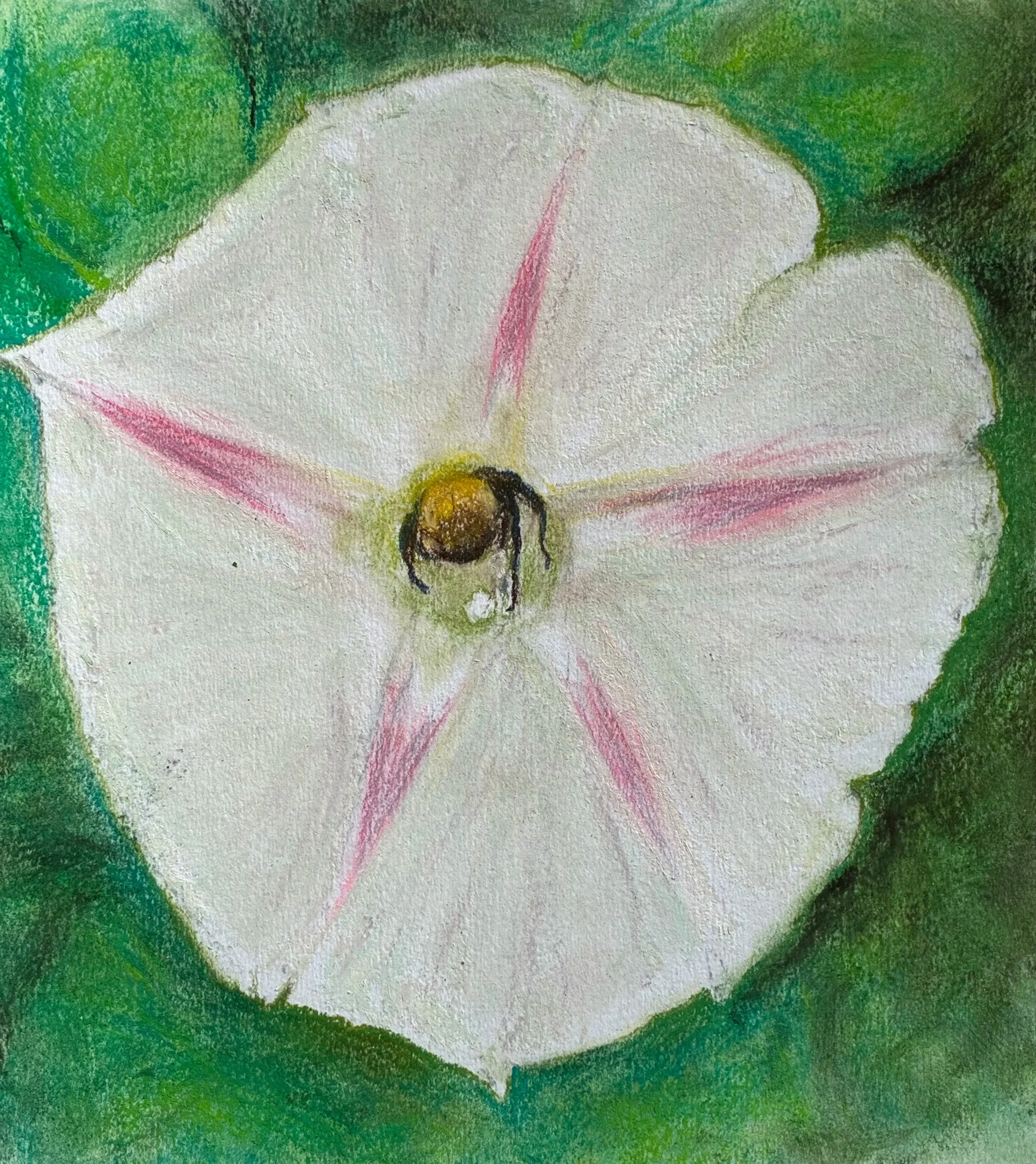 MARGARET LYN-SOROKEN ~ 9 x 9 - "Bee hole inspired by O’Keefe
flower paintings. First rough sketch not intended to be finished."