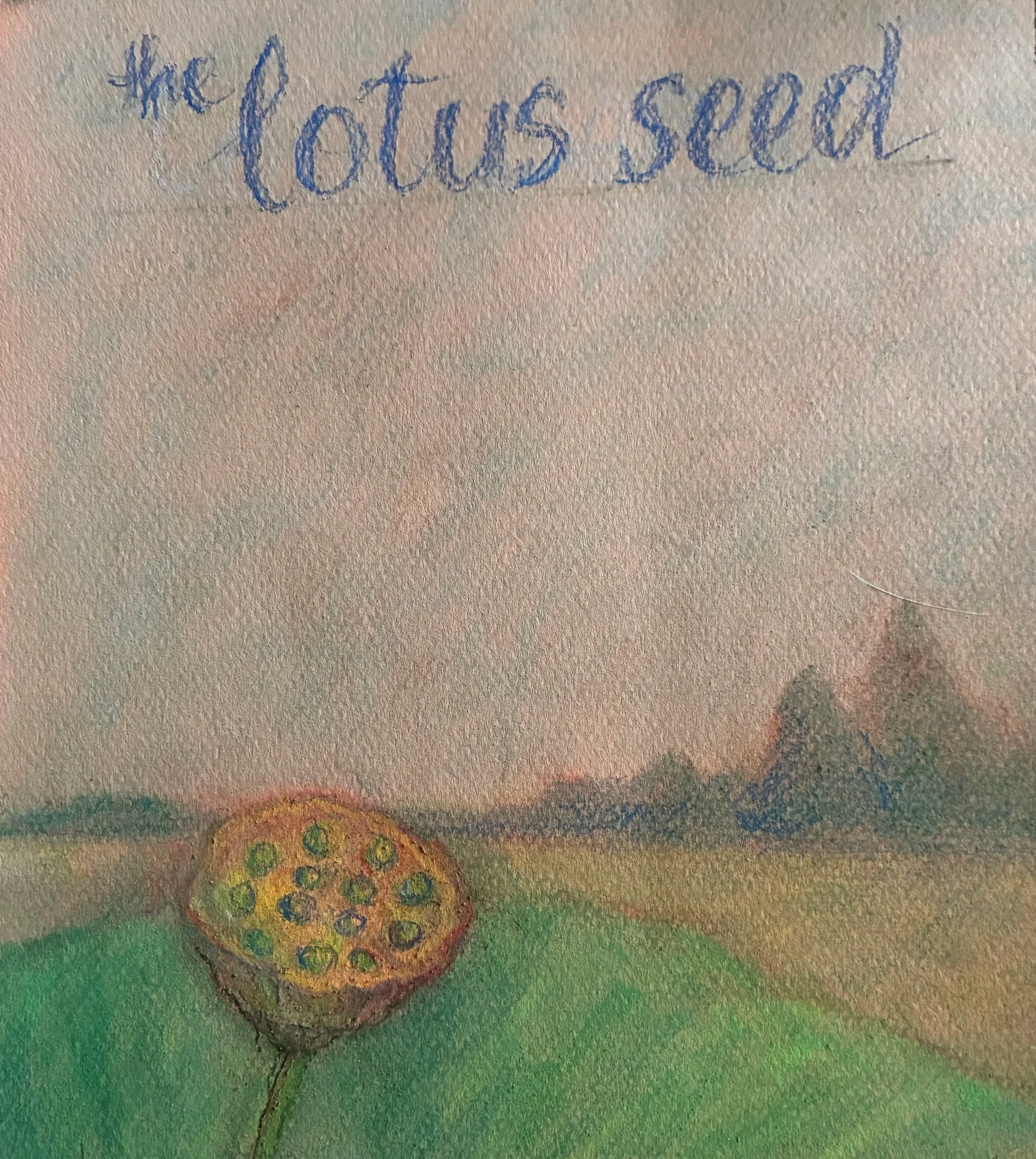 MARGARET LYN-SOROKEN ~ The Lotus Seed, 9.5 x 7 - "Pastel sketch for book about girl taking a lotus seed with her from Vietnam to US. I’m going to read it. Caught my attention as I’m fascinated by seed pods, flowers etc. So many books on the lotus."