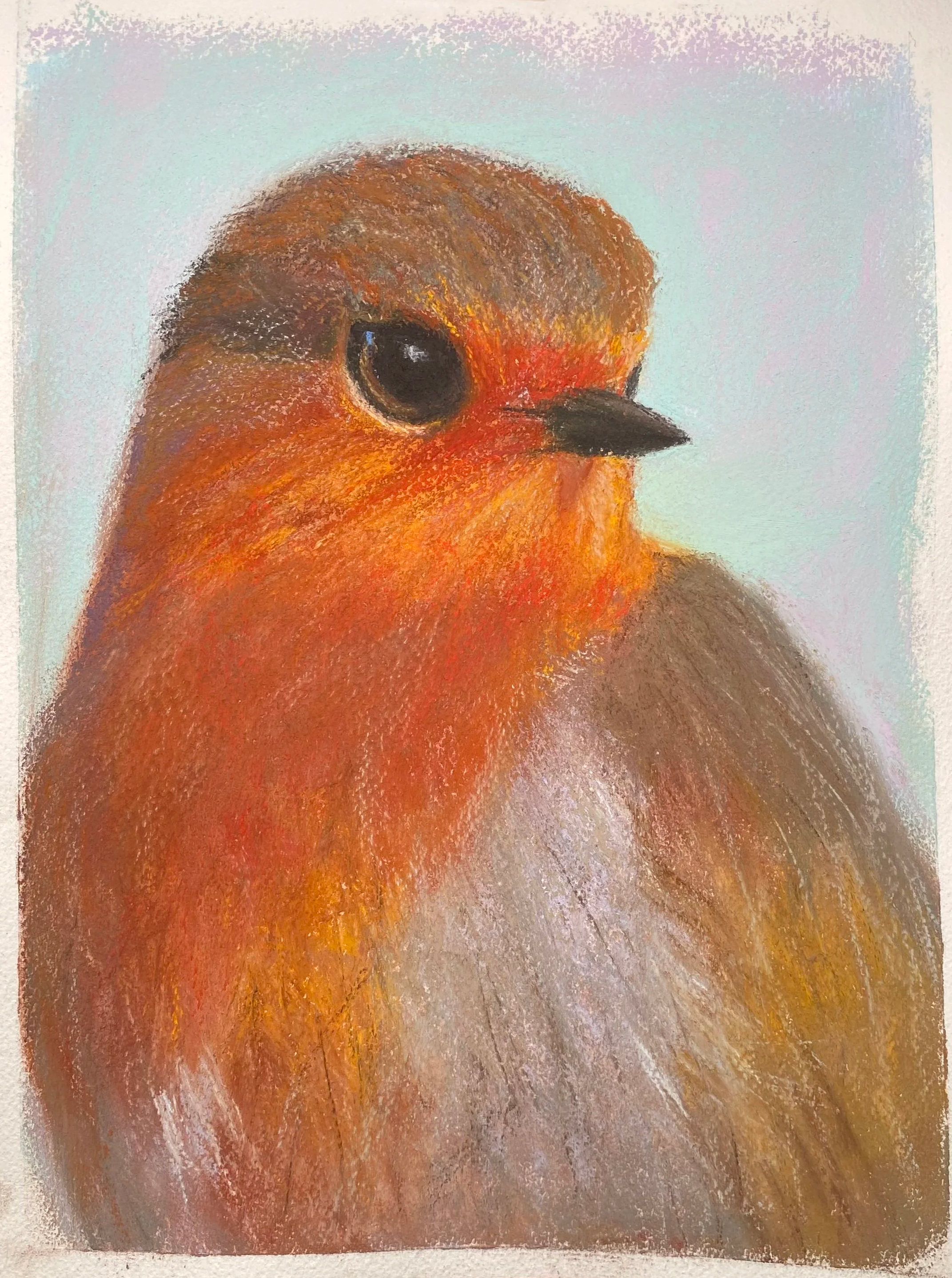 FRANKIE MILHORN ~ B is for Bird, 10 x 8 - "This was pastel painted on top of watercolor. Inspired by some beautiful birds I follow in social media, and the Robins of Britain."  