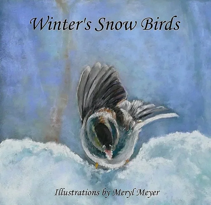 MERYL MEYER ~ Winter's Snow Birds, 9 x 11, Blue Pastelmat with assorted pastels - "I love photographing birds in winter, especially during and after a snowstorm. Over the years I have been collecting photos. I am particularly fond of the Dark-eyed Ju