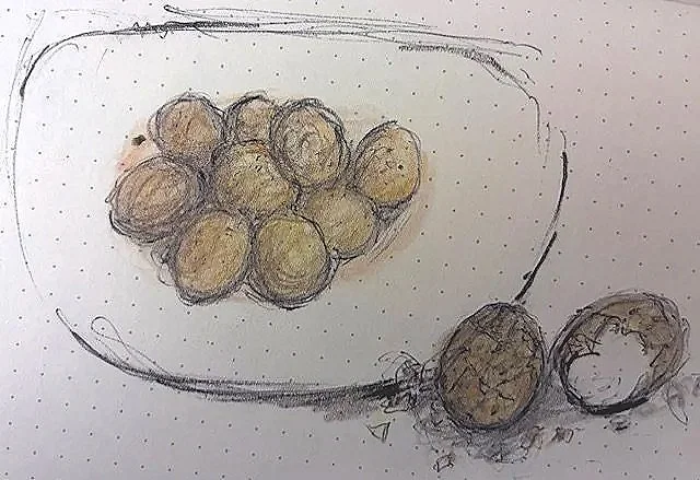 MARGARET LYN-SOROKEN ~ Brown Eggs, 5 x 8, charcoal pencil with few colors, sketch on note book - "I’m out of the country, found mail today, attempted to do egg drawing on the run… thanks."