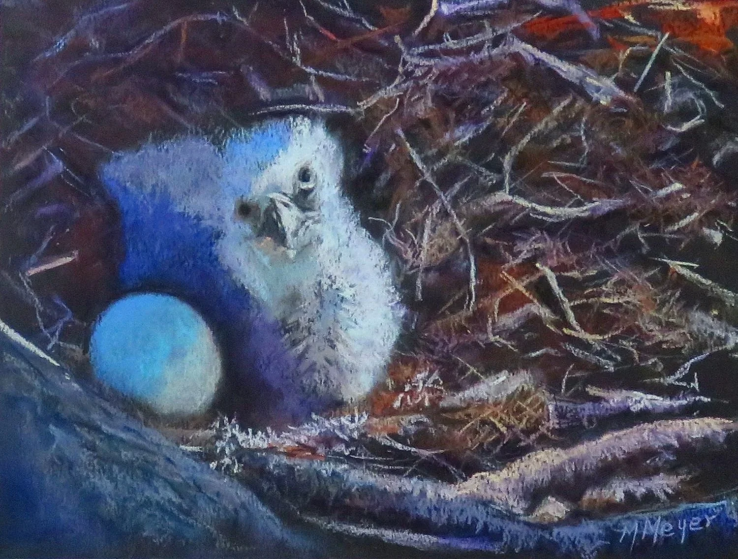 MERYL MEYER ~ Eaglely, Waiting For My Sibling to Arrive, 8 x 11, Soft Pastel on Canson Mi-teintes Black Paper - "One of my favorite pastimes is observing Eagles and their nests on live video cams. I am a big fan of Friends of Big Bear Valley and have