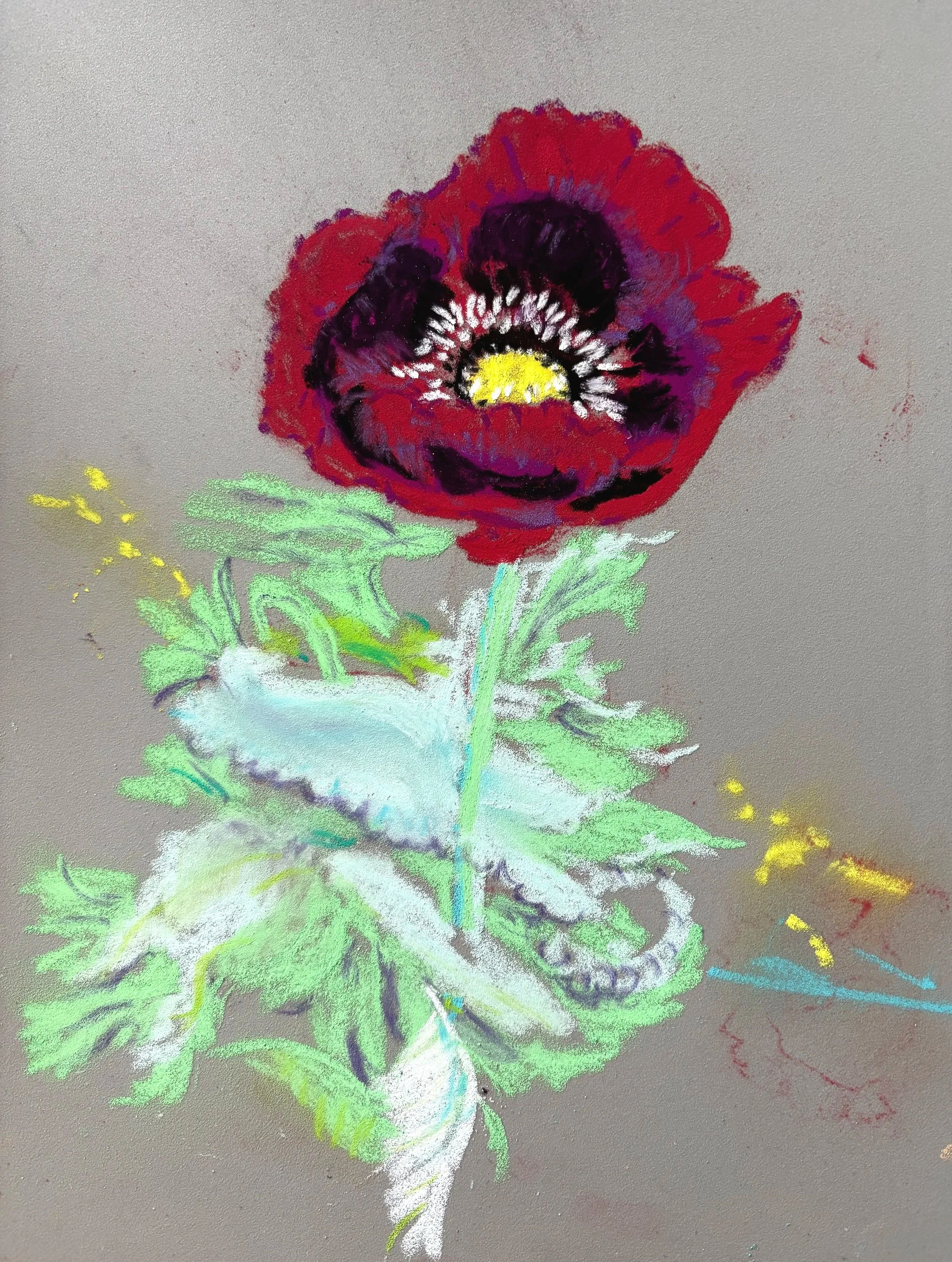 JAN COBB ~ Too Pretty, 9 x 12 soft pastels "Fresh flowers bring me joy. Recently I was cutting flowers when I saw a beautiful flower that I had never seen before - I didn’t cut it. Just took a picture. Google quickly identified it - an Opium Poppy. H