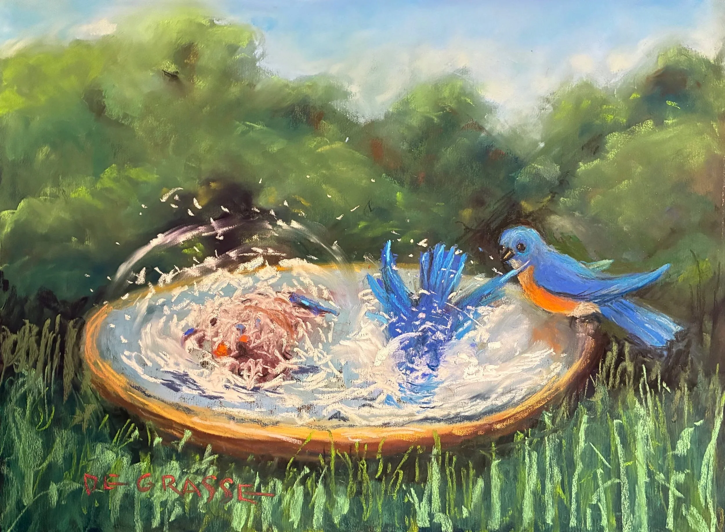 DIANE DE GRASSE ~ Can I Be Next?!, 12 x 16, hard and soft pastels on Uart 400 paper - "My Favorite Thing… for years, the Birdbath! From my first painting of one 20 years ago, an oil lovingly rendered, to this action-packed pastel illustrating what I 