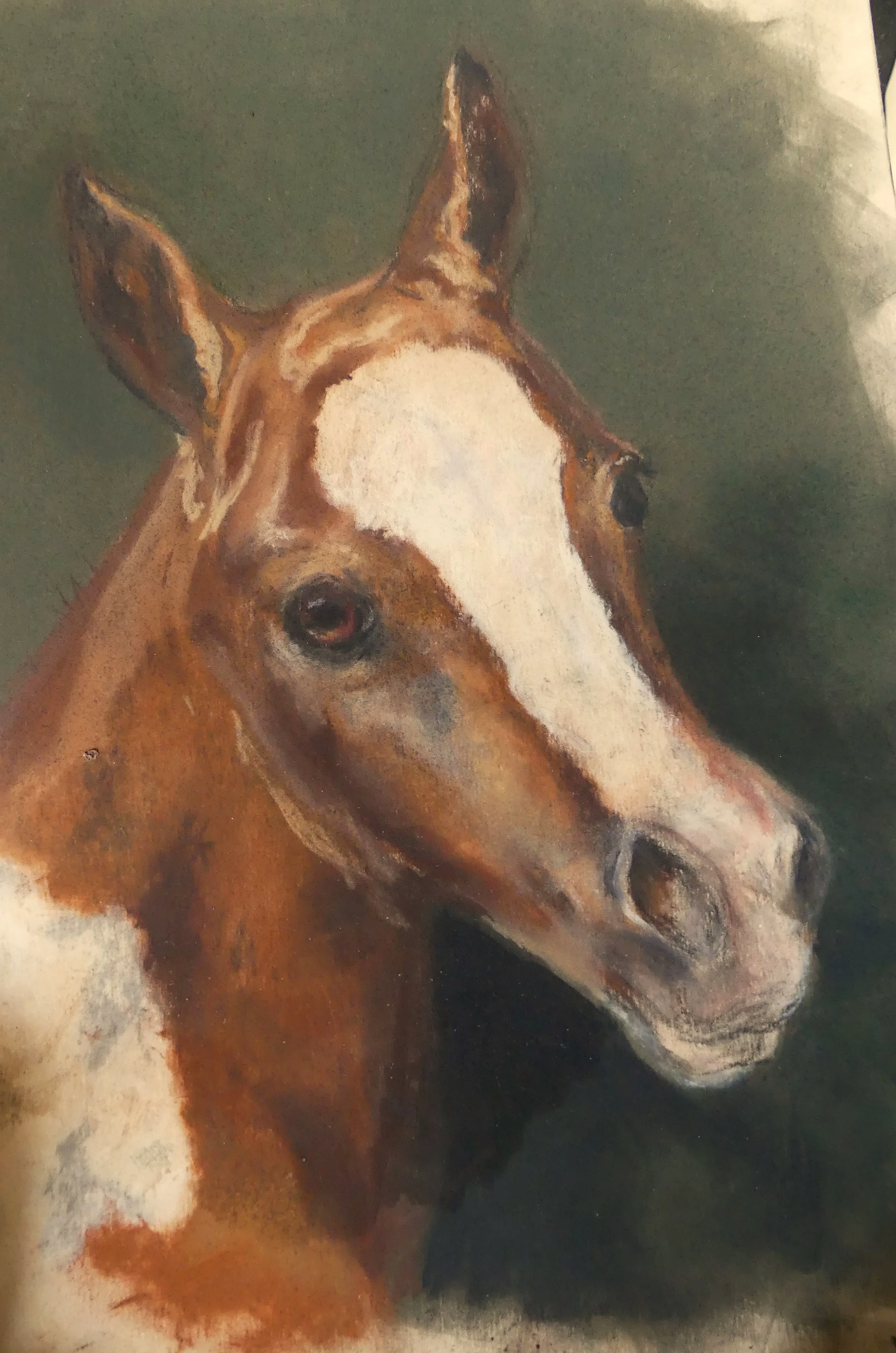 LINDA MEDDERS-JACKSON ~ Unfinished Work, Uart 800, Pastel pencils, nupastels and mixed brands soft pastel - "Getting a good start on this one but not good enough to make a deadline (incredibly slow painter)." - Cross, NC