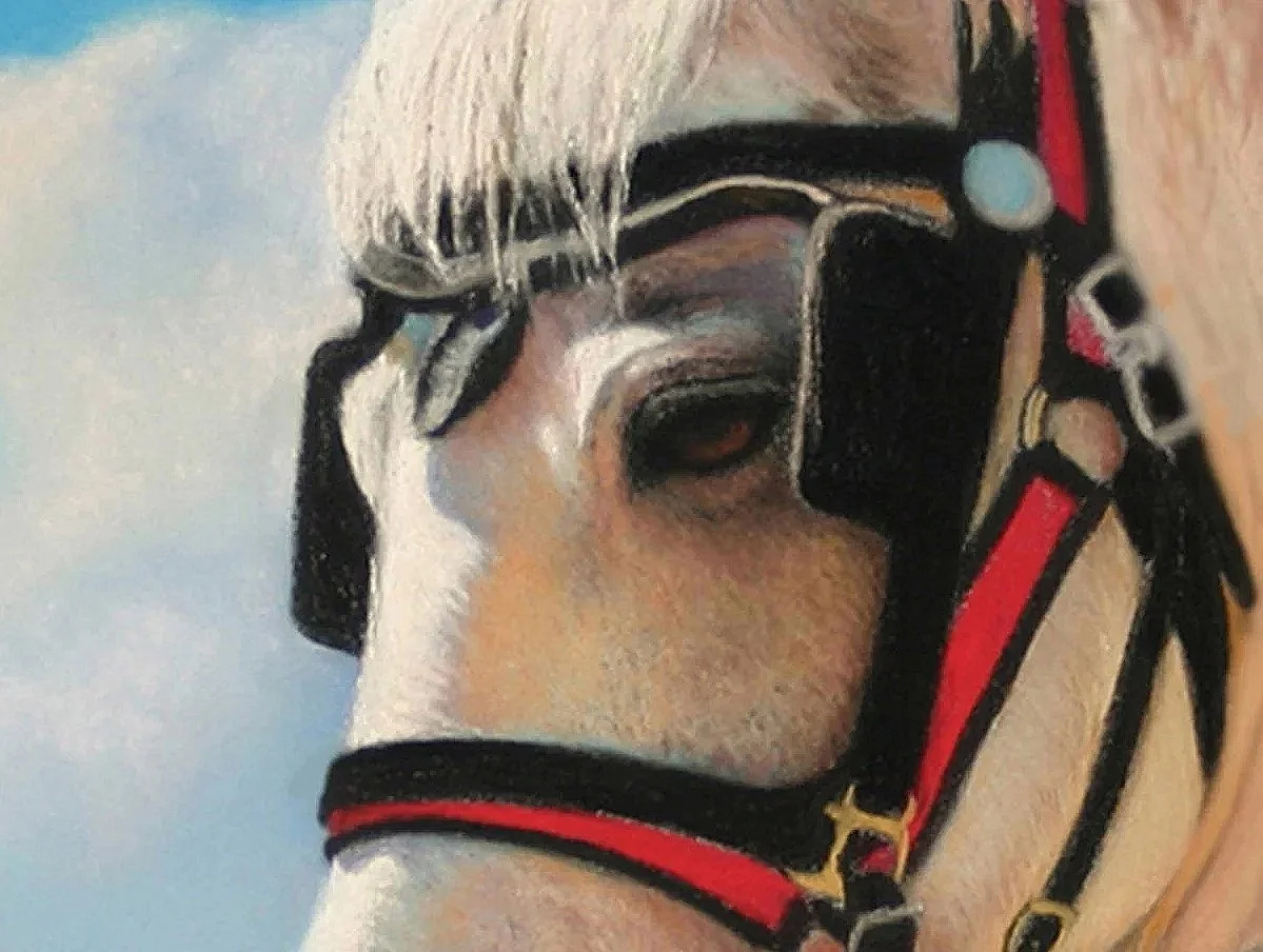 ALEC HALL ~ Bound to the Red, White & Blue, 6 x 8", UART 500 Grit - "I composed this small painting up close and personal. This white Percheron draft horse was part of a July 4th parade many years ago in Michigan." - Hendersonville, NC