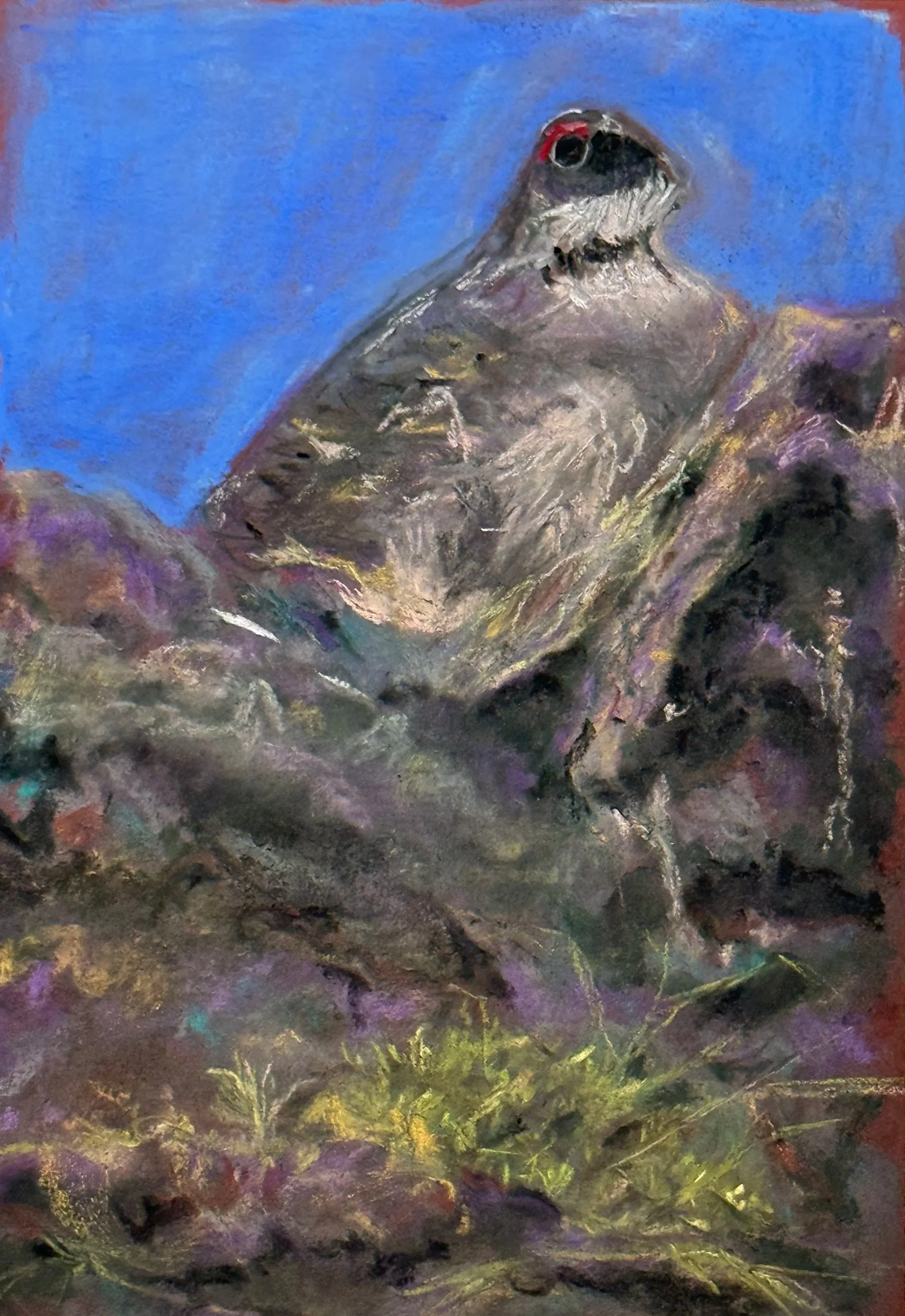 CATHARIN BANTA ~ Hiding Bird, 13 x 9", Uart, Nupastels and Terry Ludwigs - "While traveling, I came across this Rock Ptarmigan sitting amongst the lava rocks in Iceland. Other than his red eye you might not have seen him! Lots of fun to stumble acros