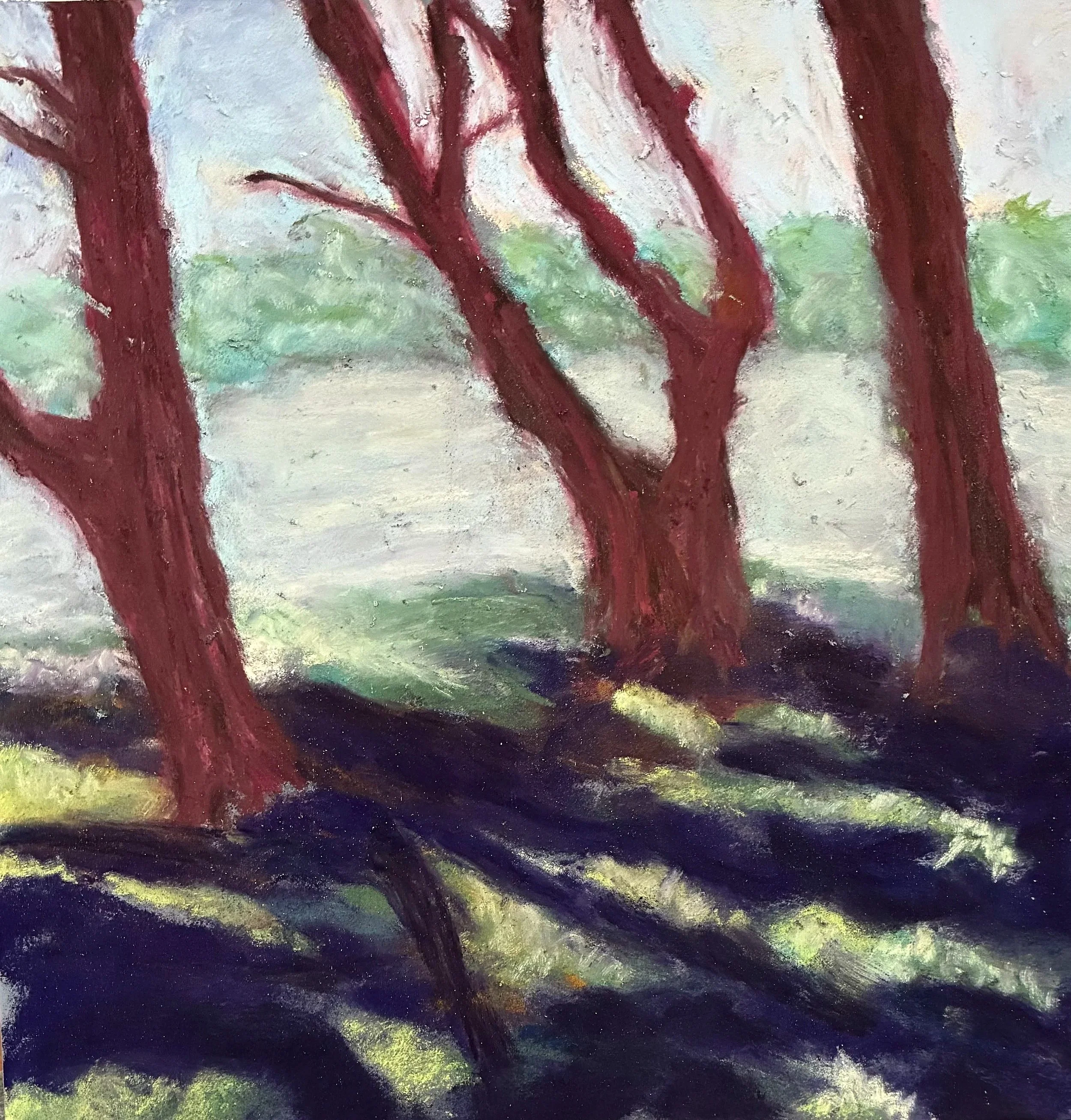 NANCY CLAUSEN ~ Down By The River - "I have painted the middle tree many times. This version of the tree painting was from a photograph. Sadly, all three trees are now gone because of the hurricane. But, I still enjoy painting the tree." - Swannanoa,
