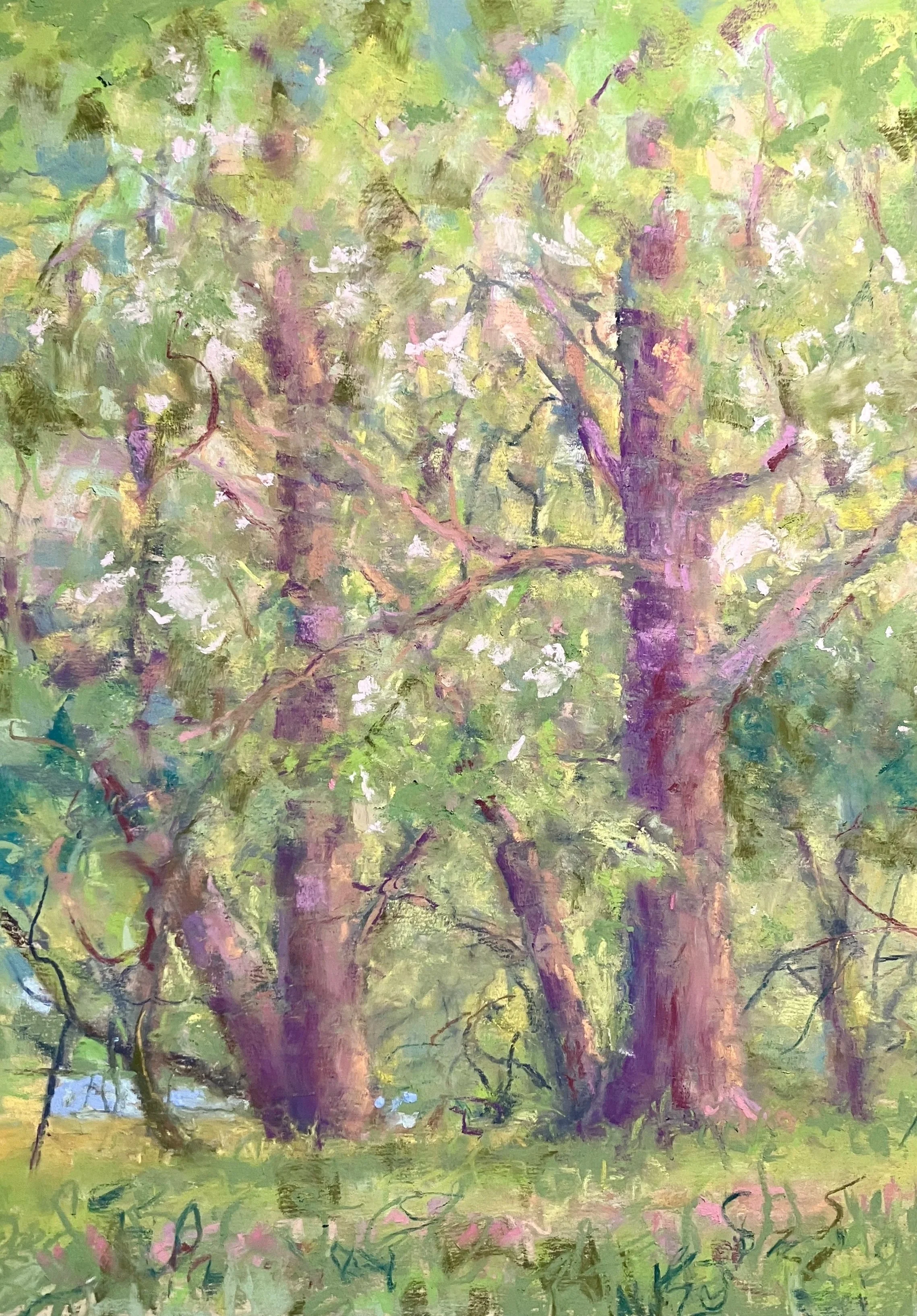 JANE BEST ~ Summer Hike, 14 x 11", Uart - "A recent summer visit to Julian Price Park (BRP). I really enjoyed doing this painting although I think it ended up with only a little bit of shimmer and a large amount of “busy and fussy!” - Morganton, NC