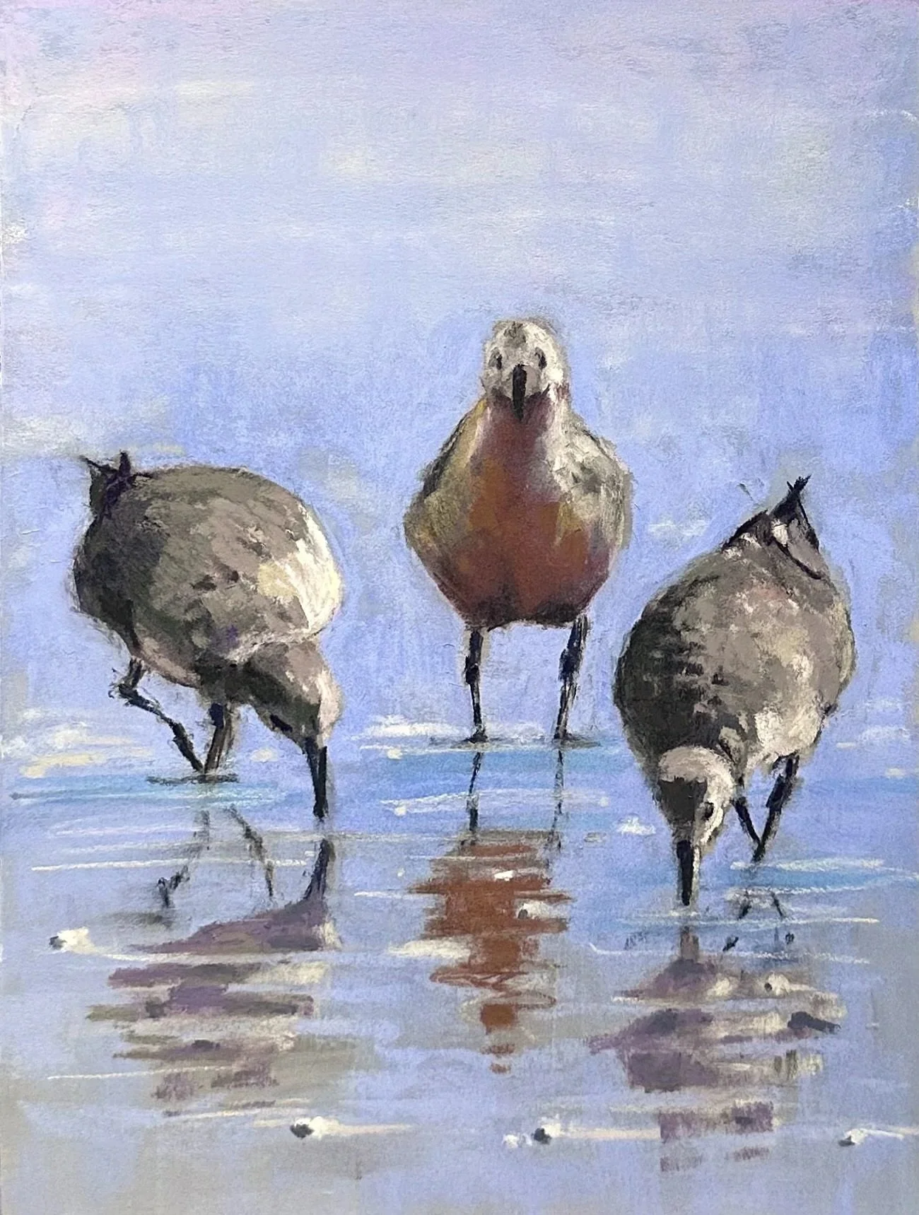 PAT QUIGLEY ~ Breakfast Social, 12 x 9", UART 320 and soft pastels - "Sketching these guys from photographs made me wish I was able to draw them from life - birds are so mobile, especially when feeding. The toothier UART 320 really does grab and hold