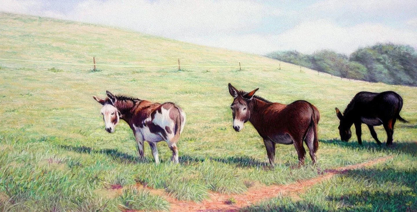 ALEC HALL ~ Did You Bring Carrots, 8 x 16", Uart 500 grit paper, Rembrandt and Great American pastels, Carb-Othello pencils - "I found these three burros near a friend's farm in Ontario, Canada. They would only approach if they knew that you had a tr