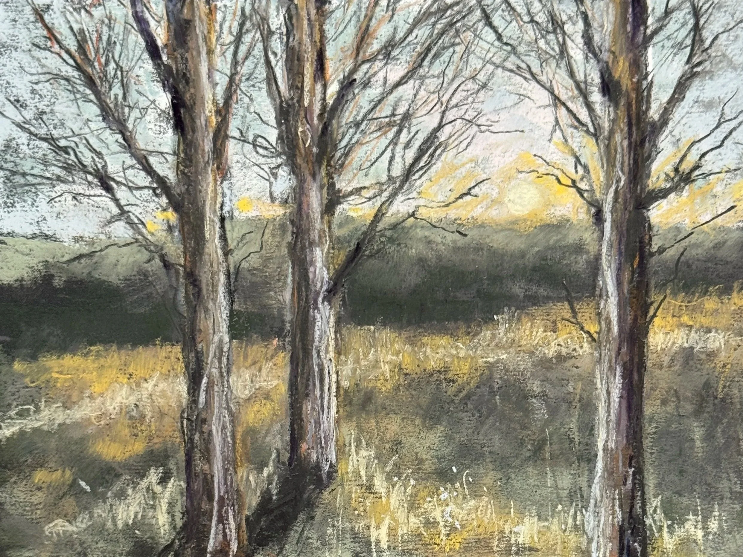 WILL EVANS ~ The Guardians, 6 x 8", Uart 400 - "Late fall, leaves down, standing strong!" - Fairview, NC