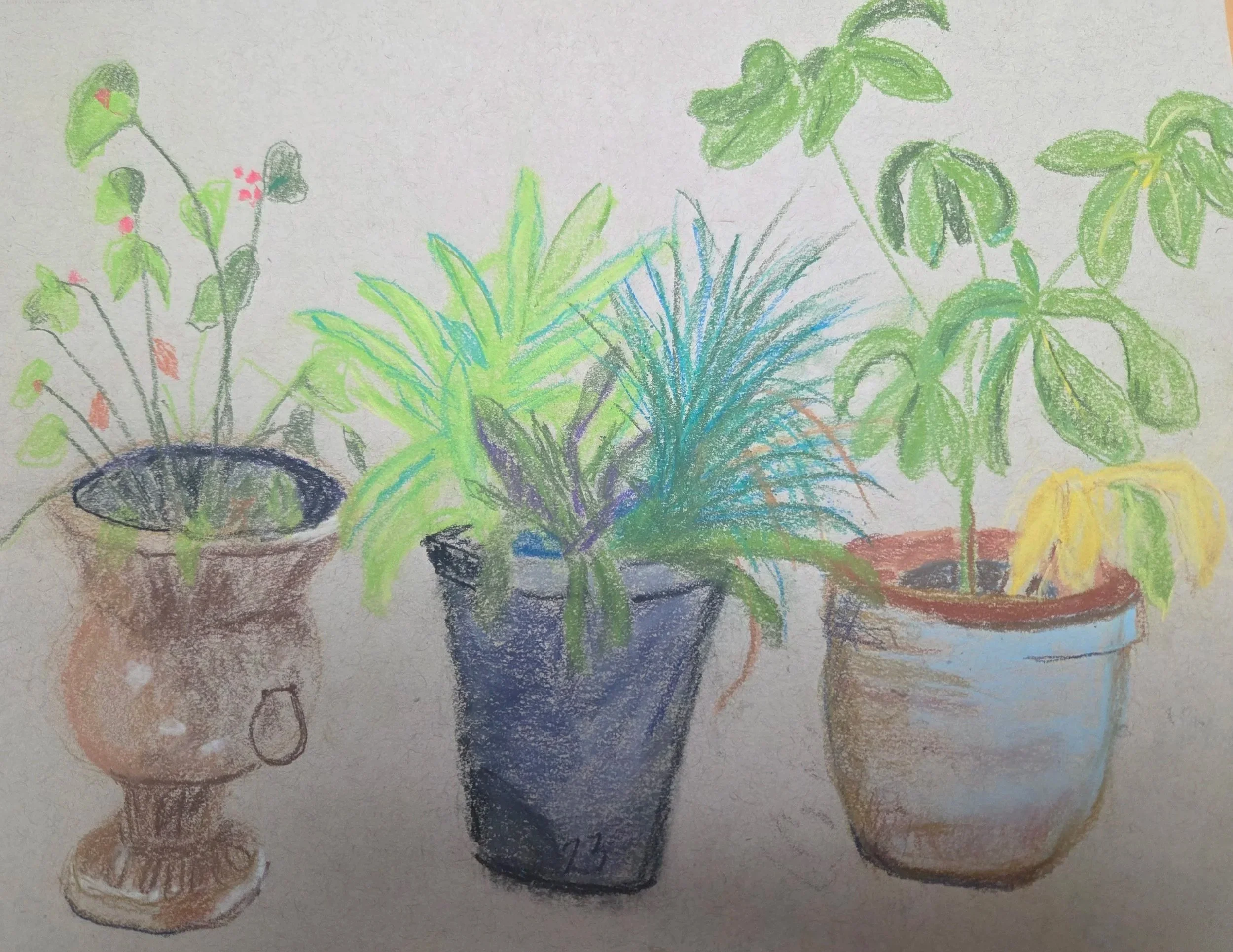 PAT FENDA ~ Green Trio, 9 x 12", pastel pencil - "Love looking out on my patio to see these beauties!" - Tampa, FL