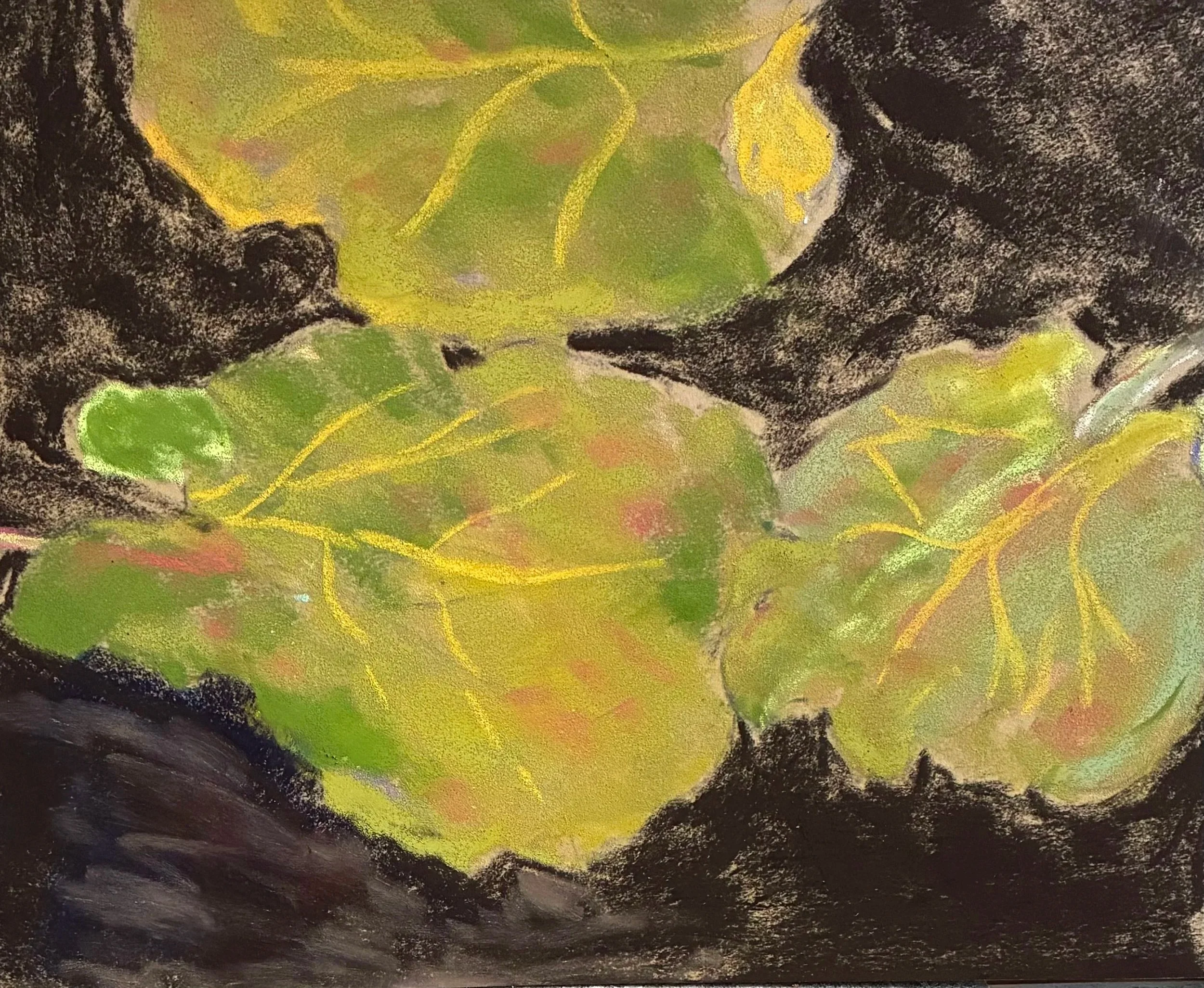 NANCY CLAUSEN ~ From My Garden - "These are rhubarb leaves from my garden. I am not quite satisfied with what I’ve done, so  it might need a redo. The painting is done on Canson Velvet with a variety of different pastels. It was fun to do the leaves,