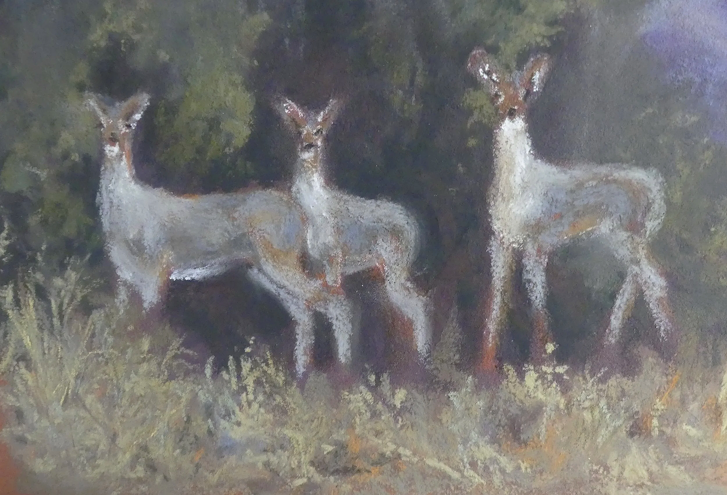 LINDA MEDDERS-JACKSON ~ Starting A Painting - "WIP. Starting this painting of 3 deer. Mixed pastels... Pan, Nupastels and stick. In the real ugly stage at this point." - Cross, NC