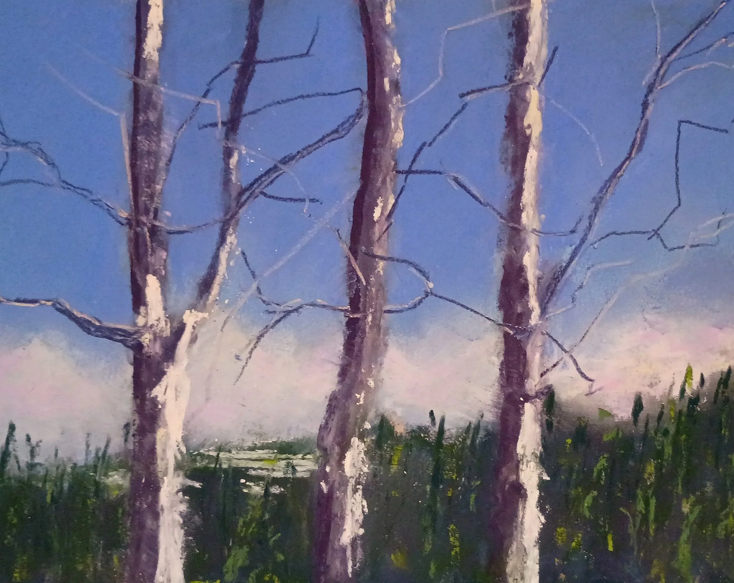 JANICE JACKSON ~ Aspens, 5 x7", Uart, various soft pastels - "I've painted this scene several times, and this time tried to paint loose." - Hendersonville, NC