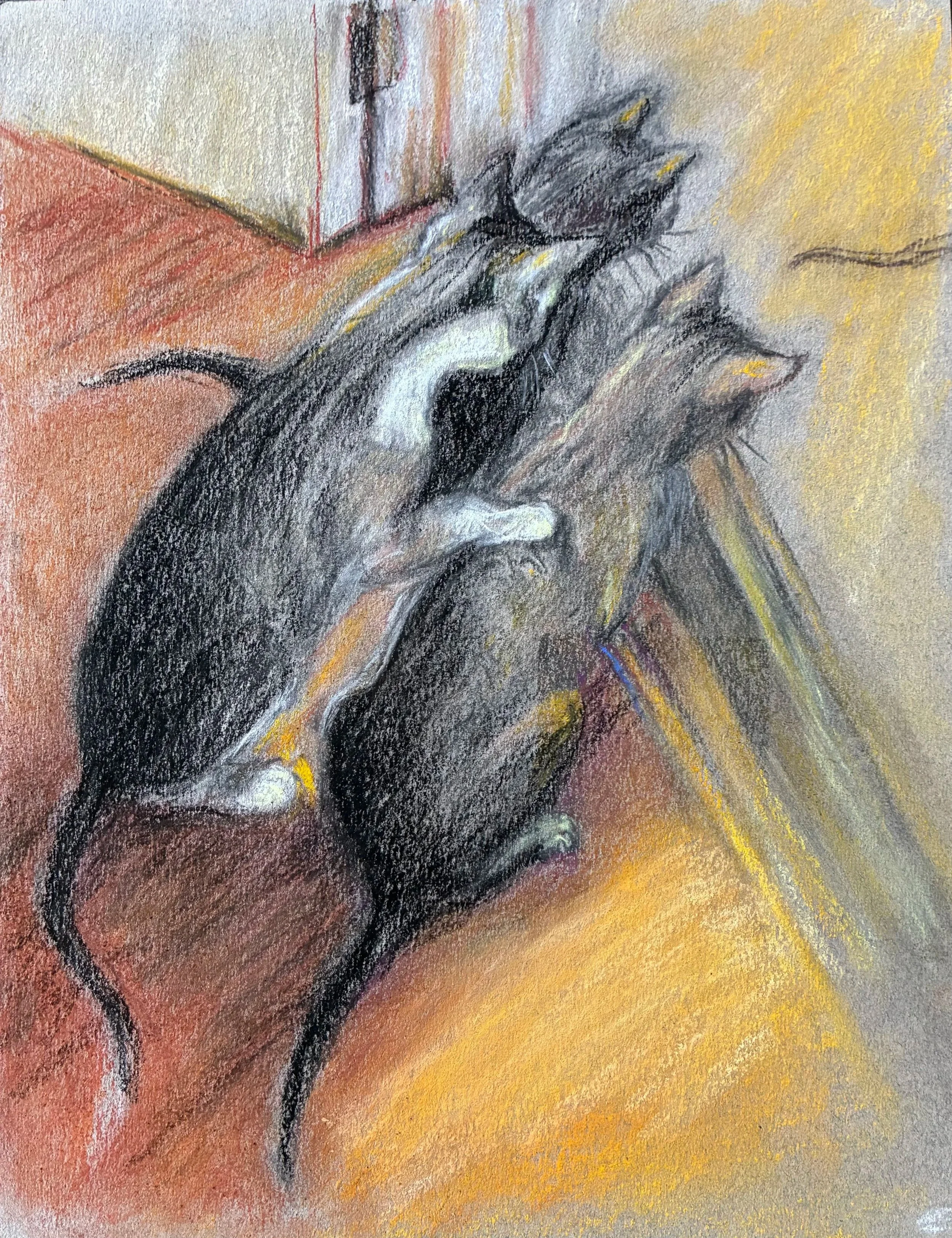 MARGARET LYN-SOROKEN ~ 11 x 8.5, pastels on grey pastel paper - "Photo I took of my 3 cats as they observed a lizard. I thought it was funny and fit the 3 challenge... still working on it." - Black Mountain, NC