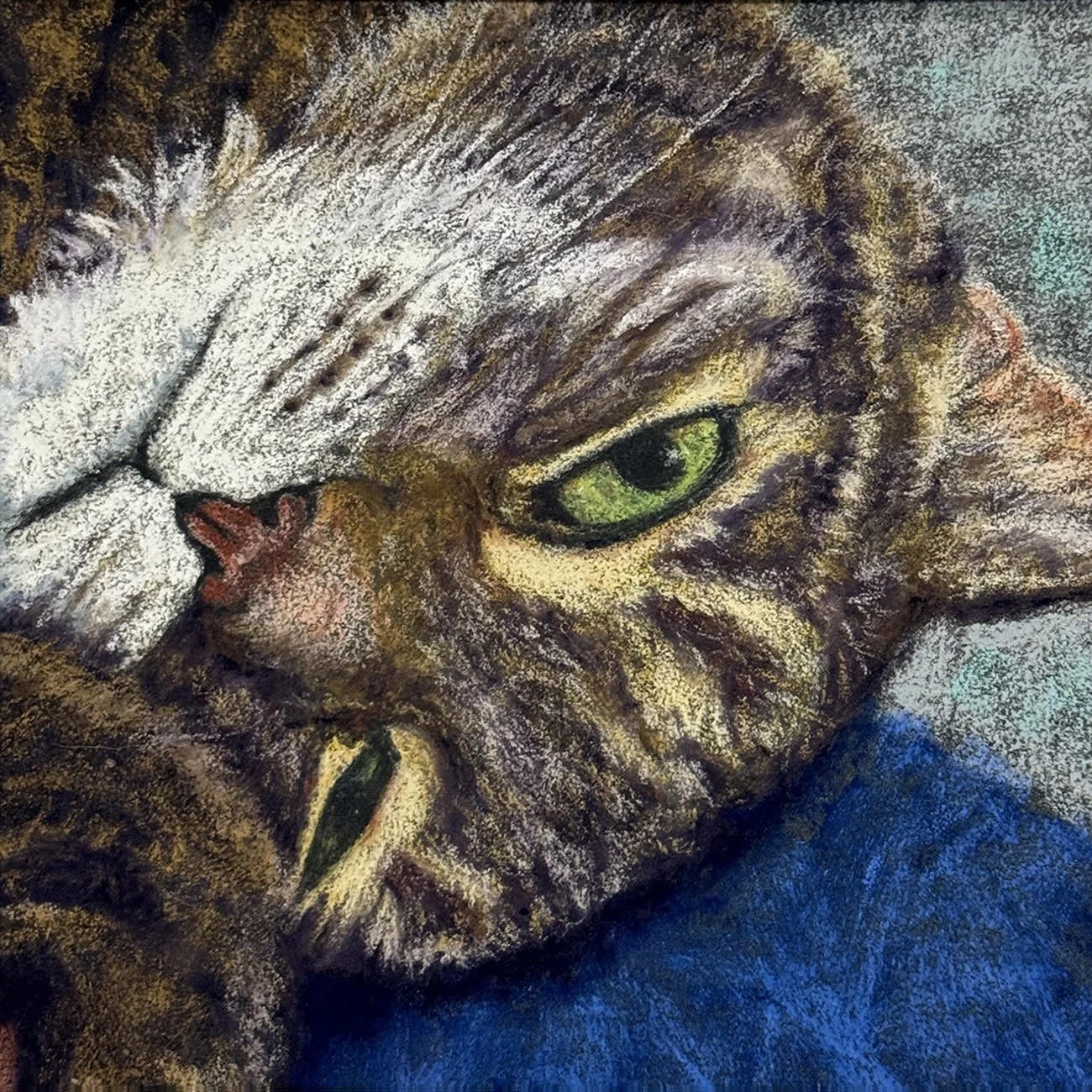 GWEN HETHERINGTON ~ Aspen, 6 x 6 - "Hello! This challenge has reminded me that when working or wildlife or human portraits if you get the eyes right, nothing else matters. The rest of the painting can be unfinished or may fail to pass my own critical