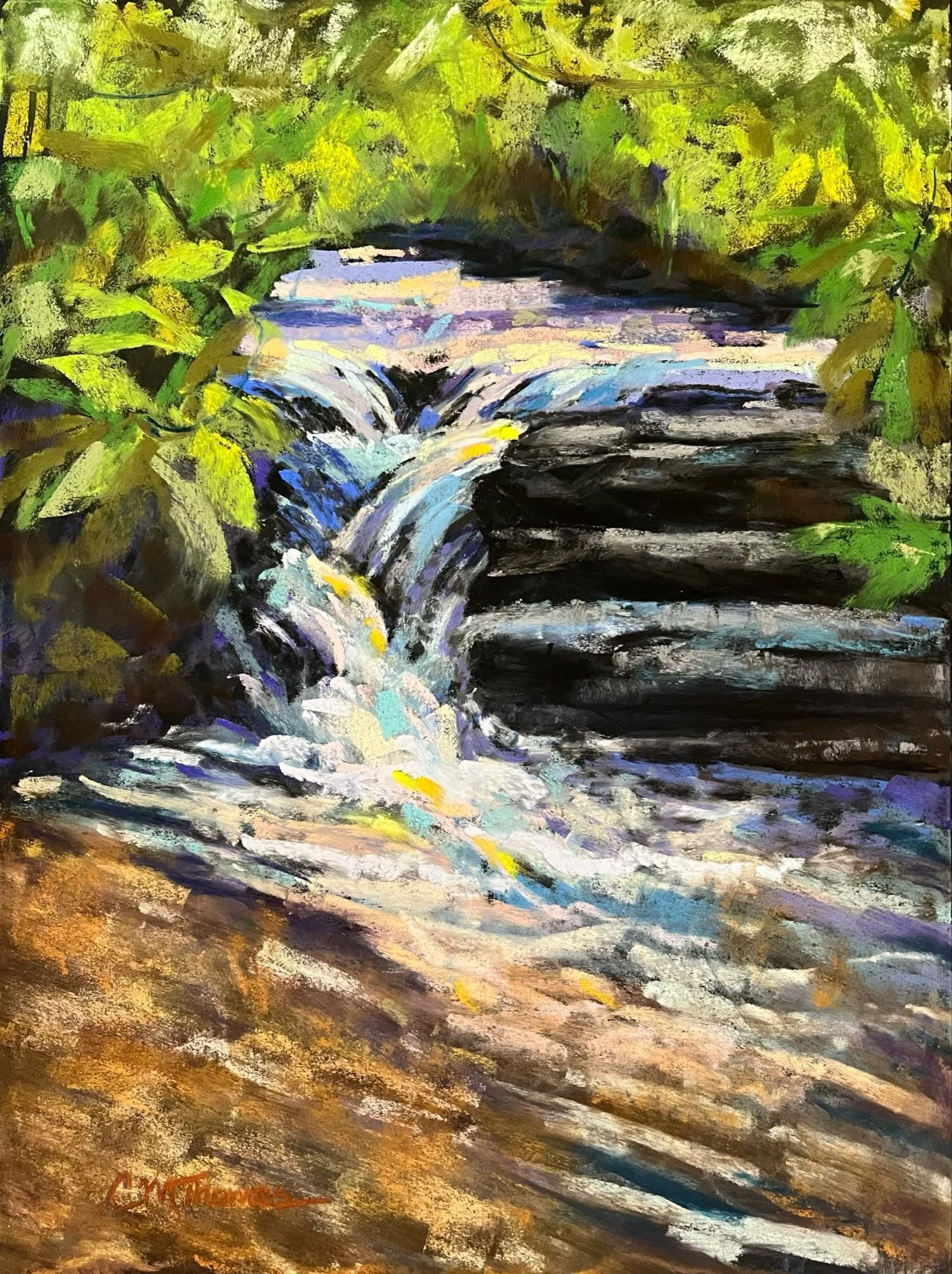 CANDY THOMAS ~ Rushing Light, 12 x 9”, soft pastel on Uart 400 - "I was drawn to the way sunlight caught the rushing water below Tom’s Creek Falls during a recent hike. During this challenge, I discovered that creating shimmer wasn’t about adding mor