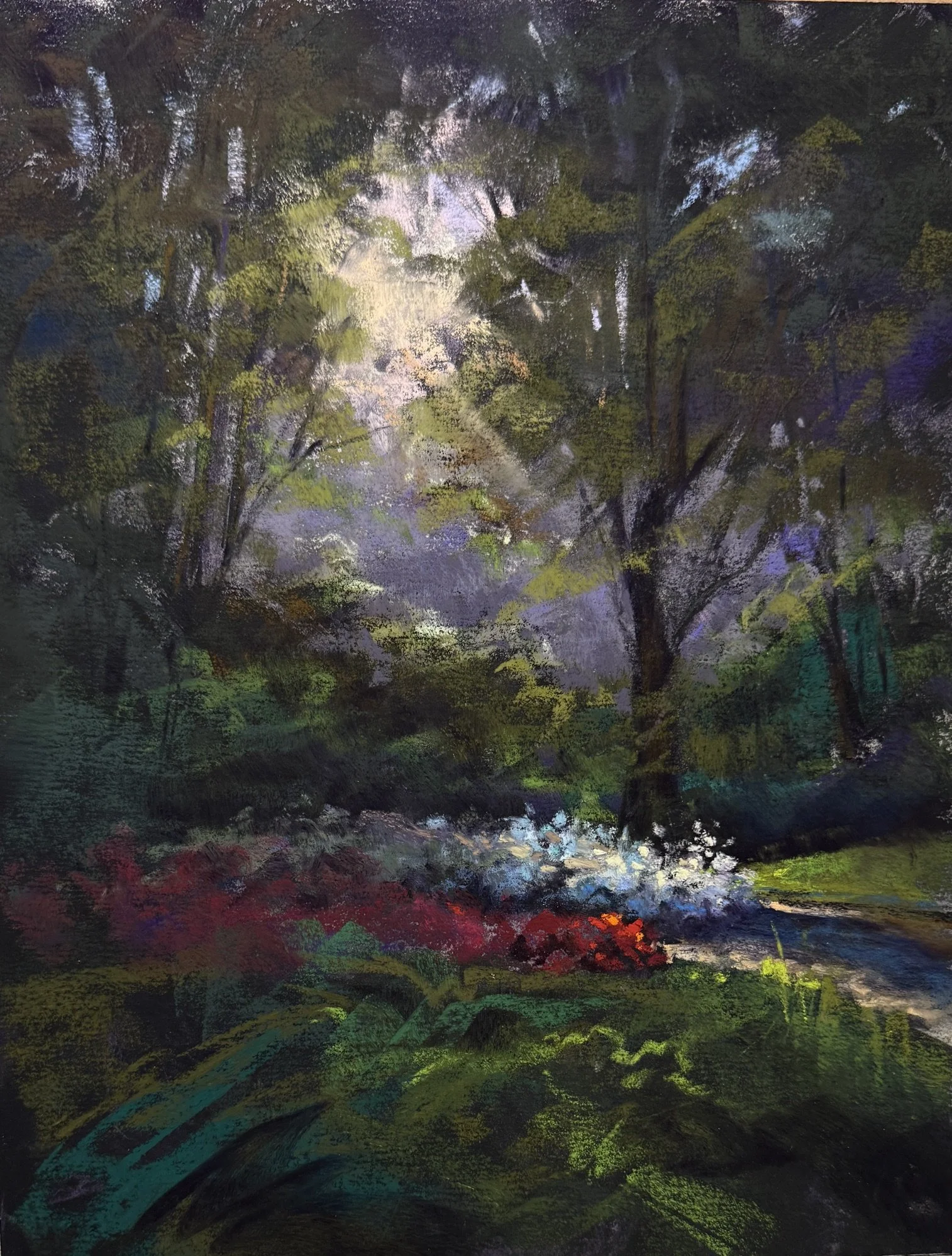 AZALEAS.JPG