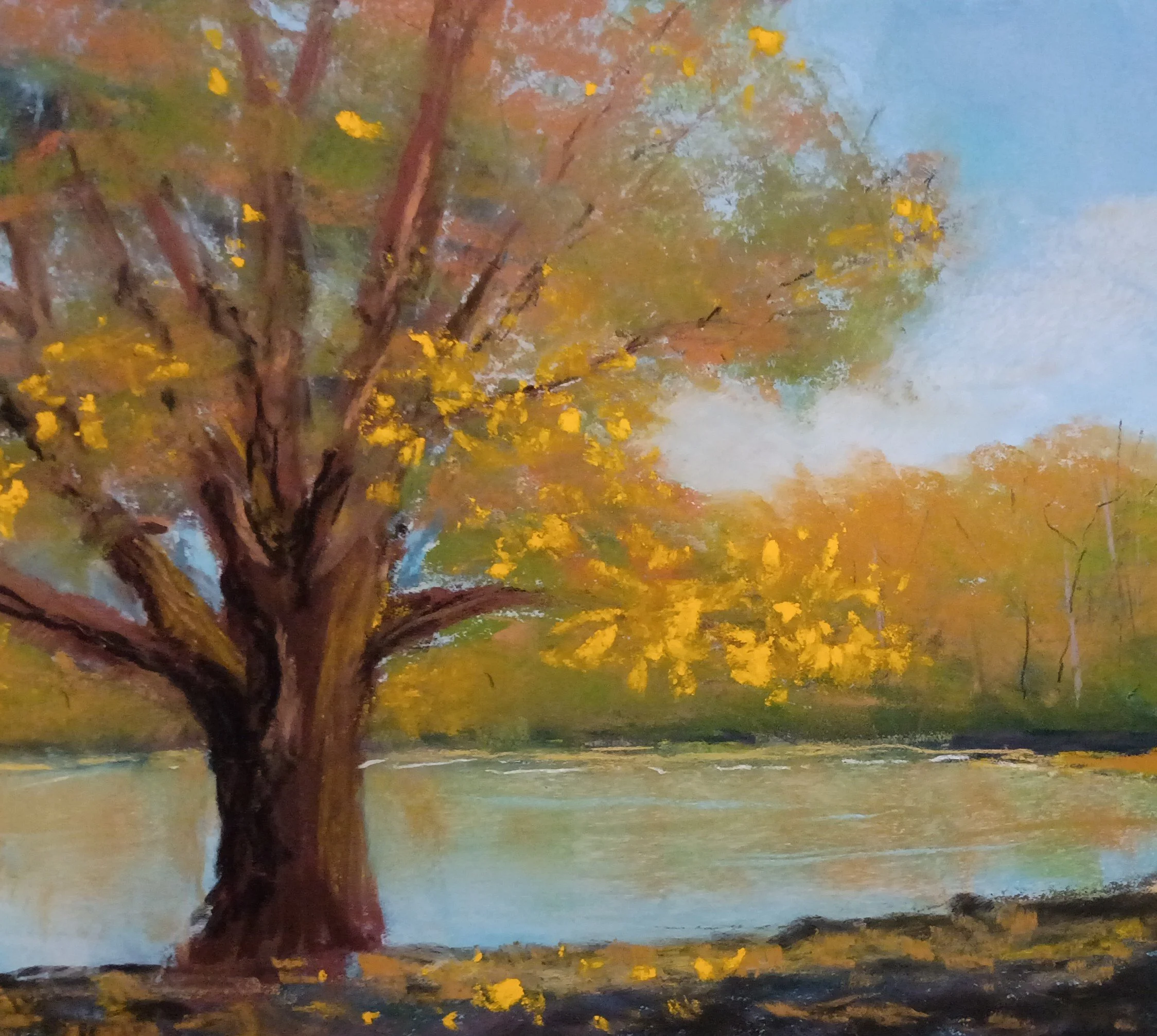 JAN JACKSON ~ The Guardian of the Fishing Pond, 8 x 10, Pastelmat - "Not finished, but getting there!"
