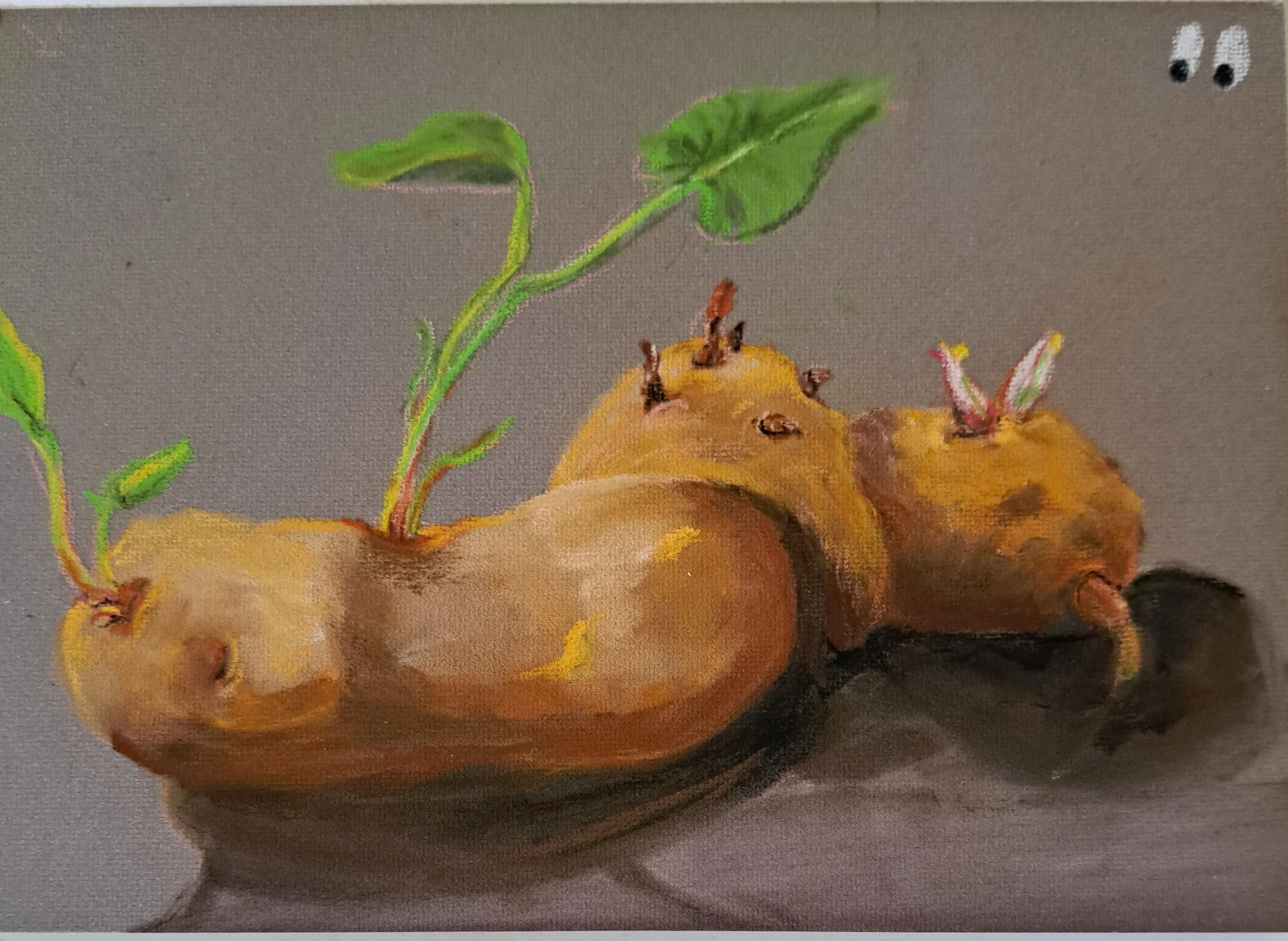 CLAIRE BENTON ~ Potatoes Sprouting Eyes, 5 x 7, gray Somim Pastel Mat Pan and pastel pencils - "Don't think I'd eat these potatoes, but I might plant them!"