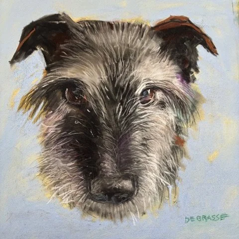 DIANE DE GRASSE ~ Harvey, 10 x 10 - "Another great challenge! I first thought of a storm, swirling clouds, soft curling pastel tones… but then my dog Harvey wanted to play. I took a picture of his face with his eyes asking to be tossed a toy. I did t