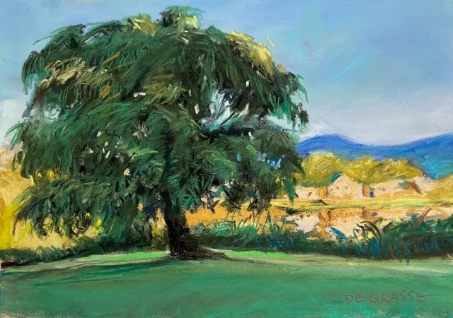 DIANE DE GRASSE ~ Willow Over the Pond, Black Mountain, 6.5 x 9.5 - "My camera/phone goes along when walking my dog and I recently caught this old willow along the way. I liked the tree’s strong character and the distant buildings in the sun. The sur