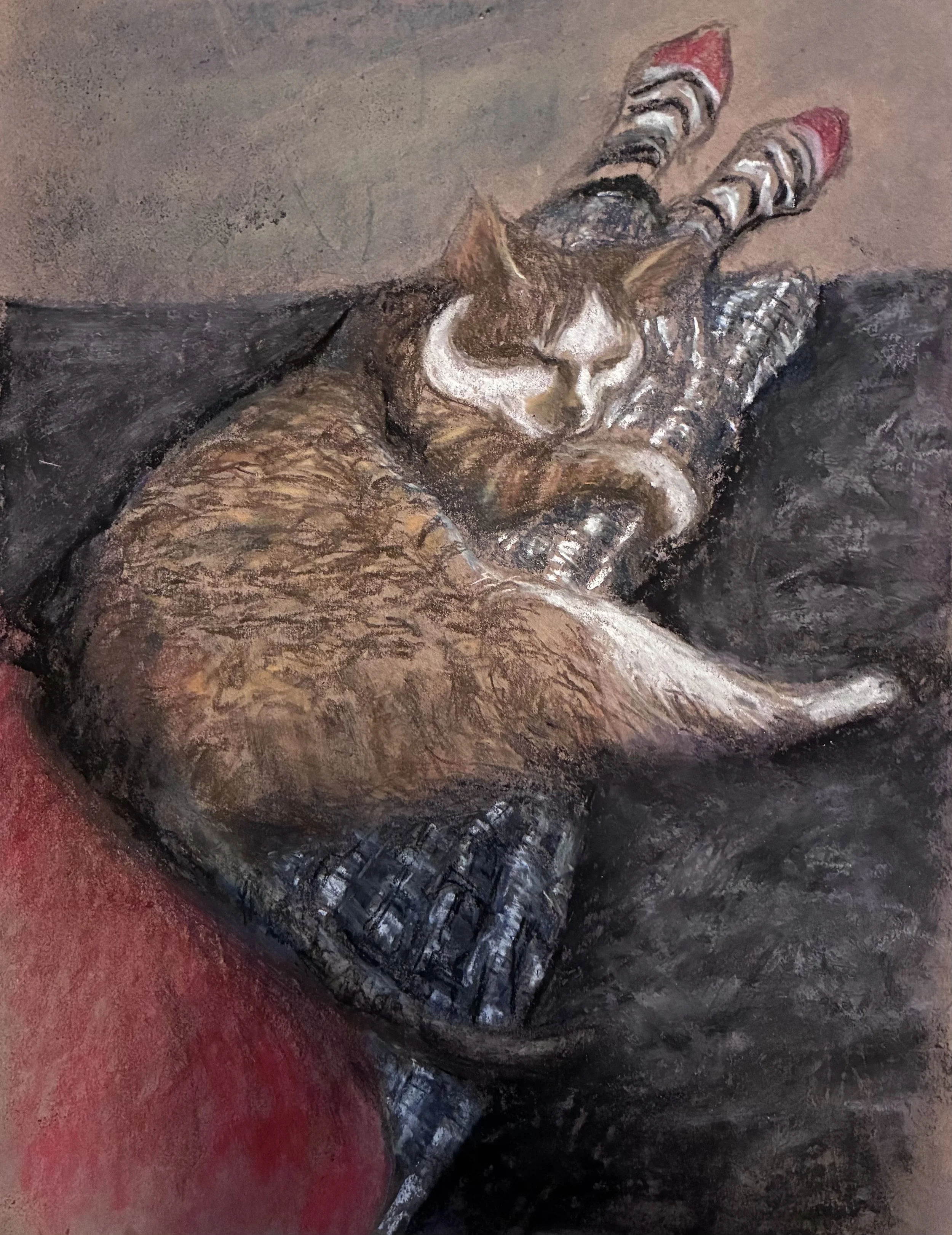 MARGARET LYN-SOROKEN ~ Mutual Fav... Lap Cat, 12 x 9, pastels on brown paper - "Sketch on wrapping paper. I like the ground to experiment on." - Black Mountain, NC