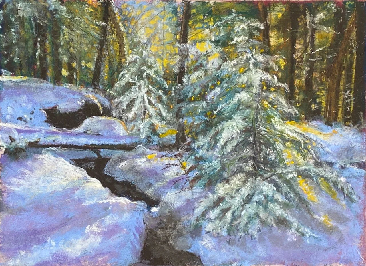 KRYSTINA MADEJ ~ Winter Coat, 8 5/8 x 11 3/4, UART 400 - "I was interested in learning how to depict fir trees with their winter coat of snow and was given the opportunity 
to do so in a workshop this past summer when this photo was offered as a pain