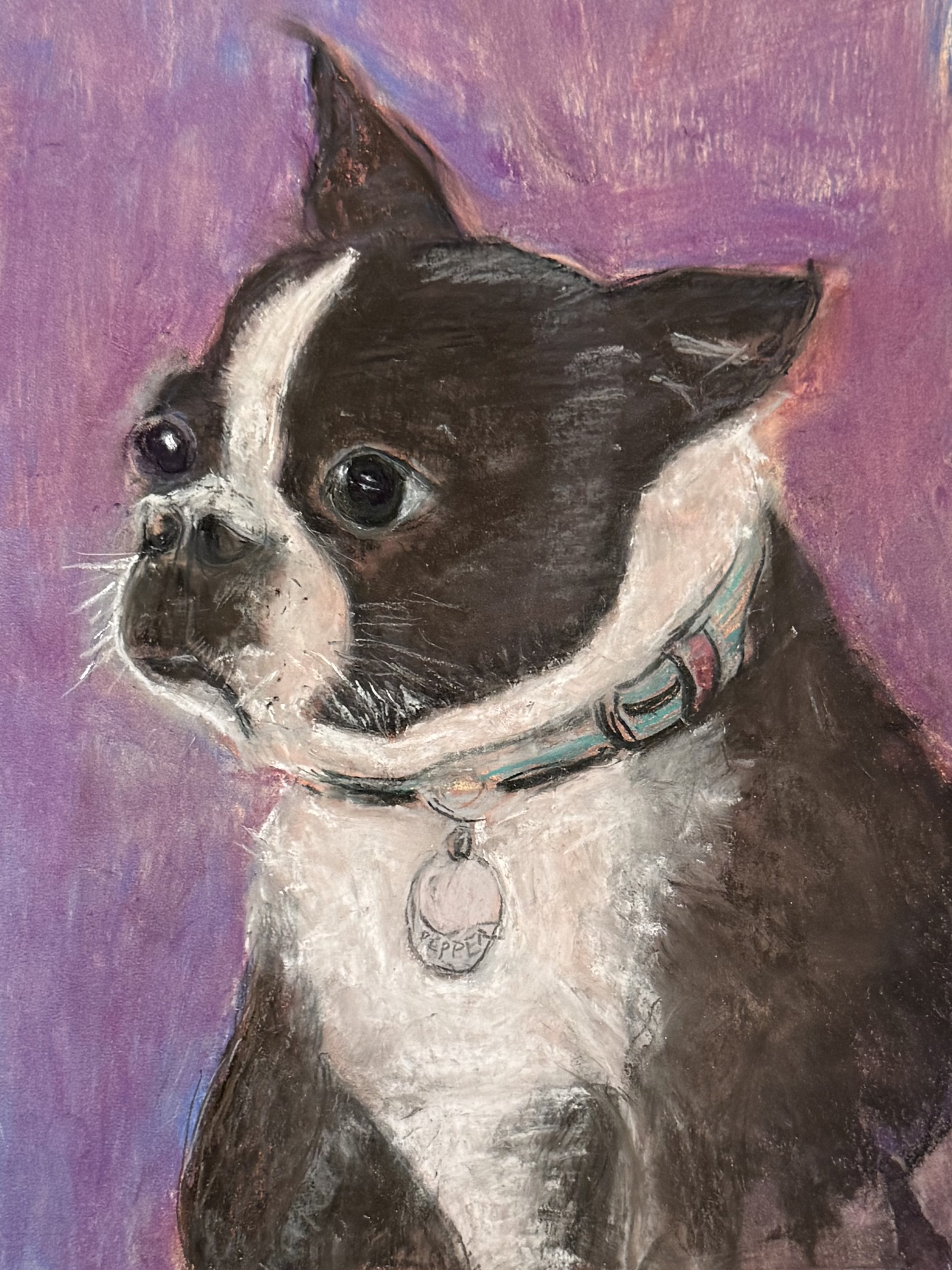 CATHARIN MCCARTHY BANTHA ~ Pepper, Uart 400 and Terry Ludwig pastels - "When I first read this challenge I was a bit intimidated since I have not painted Eyes before or animals. Pepper is my sweet aging Boston Terrier. What a fun challenge! I now hav