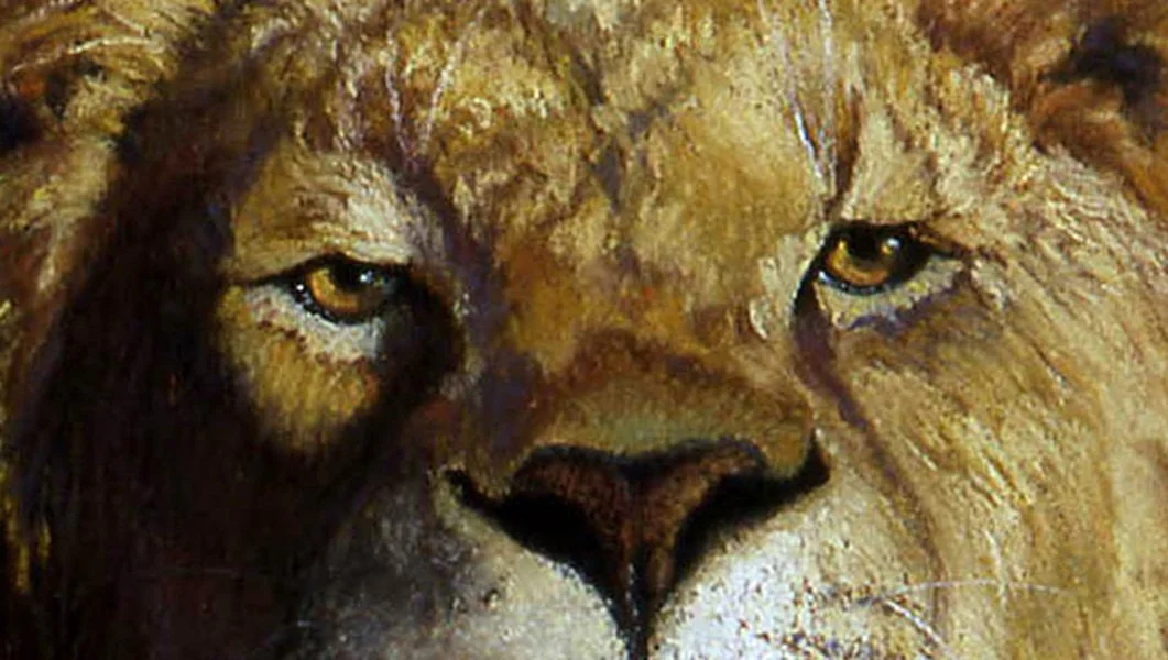 ALEC HALL ~ Penetrating Stare, 4 x 7, UART 500 grit, Rembrandt and Carb-Othello pastel pencils - "This big cat has his eyes on something very interesting and is completely focused on his subject as only a cat can be."