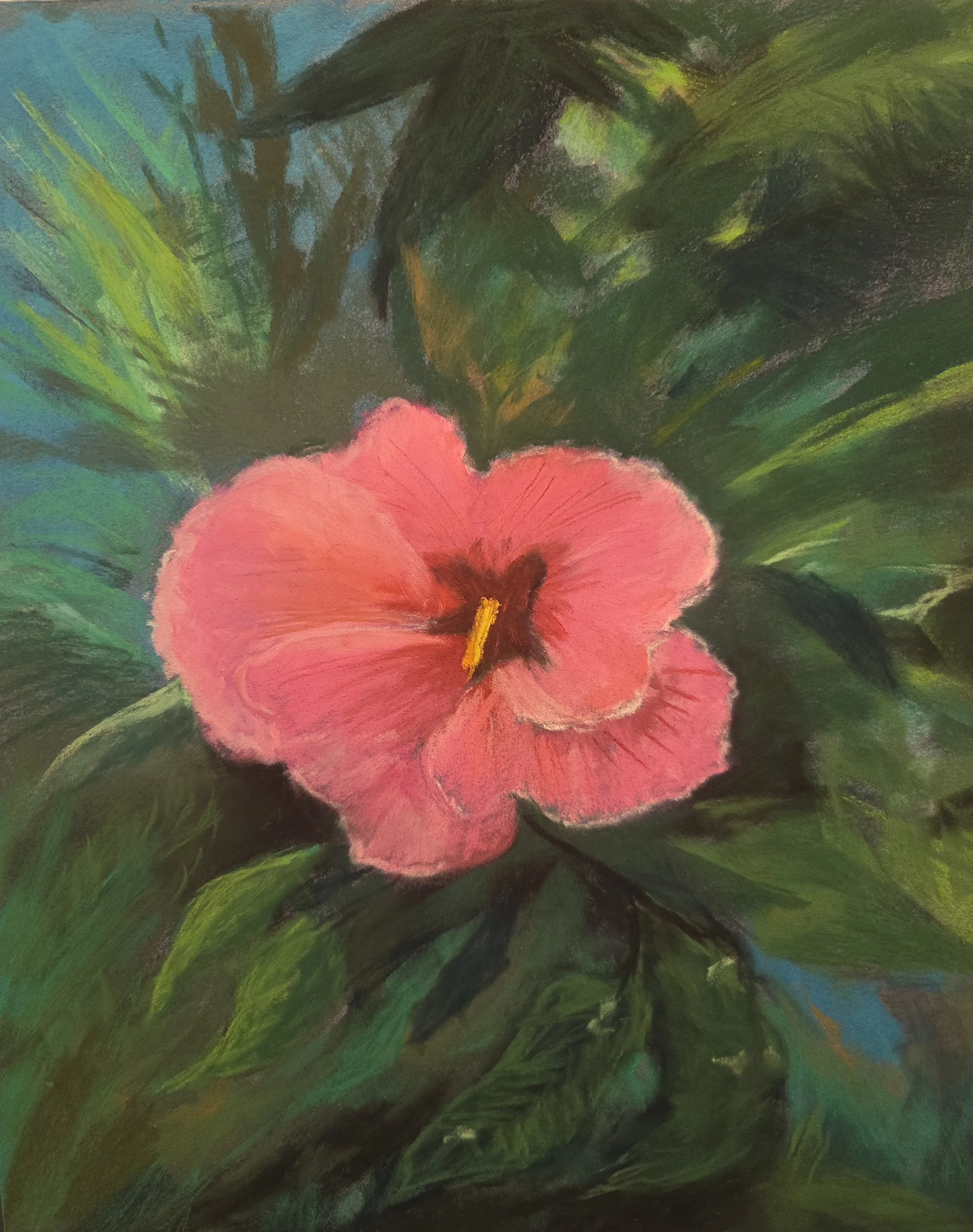 PAT FENDA ~ Go Pink - "I used pastel card for the 1st time with lots of hard and a few soft pastels. I really enjoyed it and am happy
with the results. Nothing makes me happier than a new bloom!! - Tampa, FL