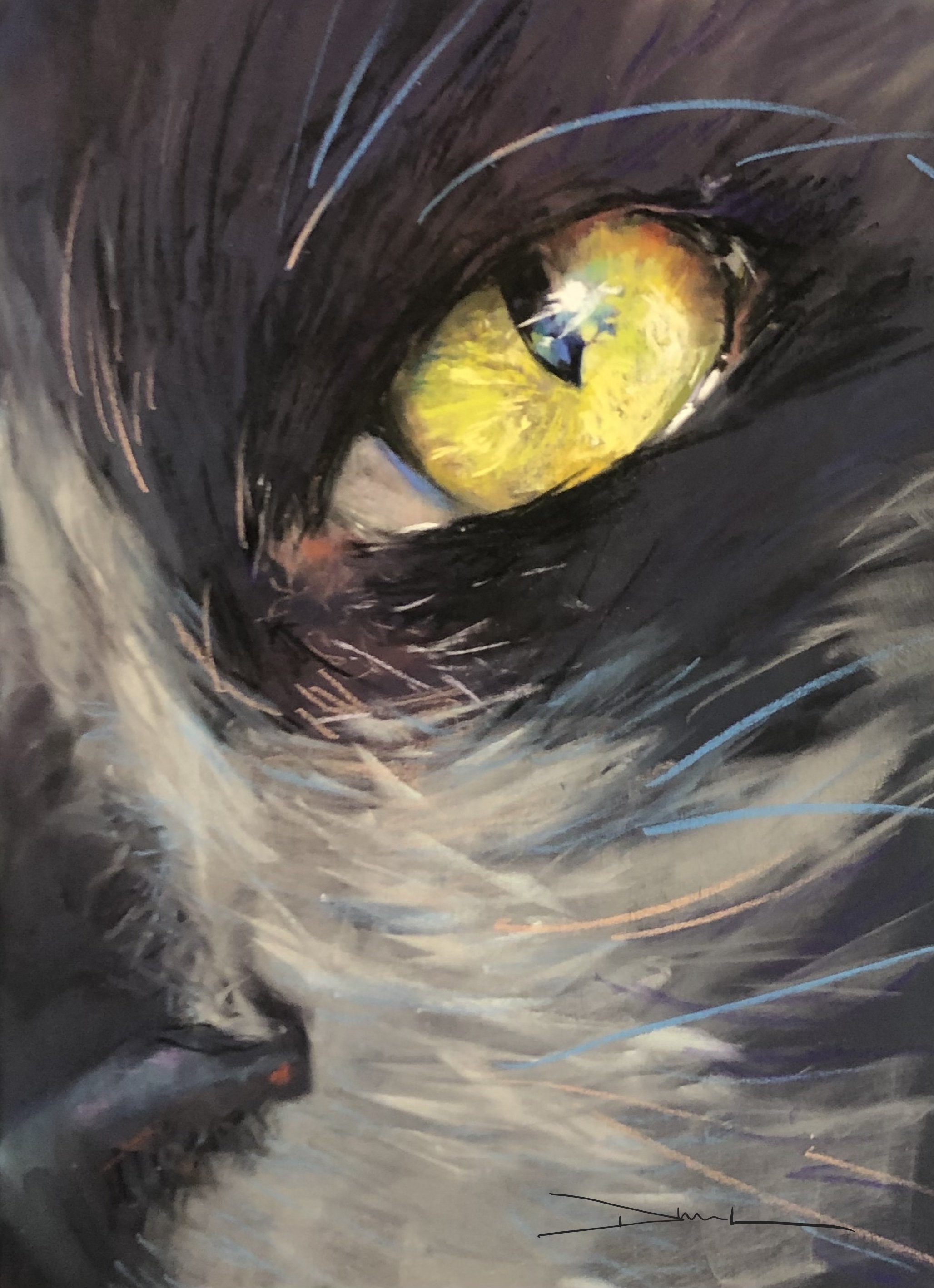 TERRILYNN DUBREUIL ~ Cat's Eye, 12 x 9
