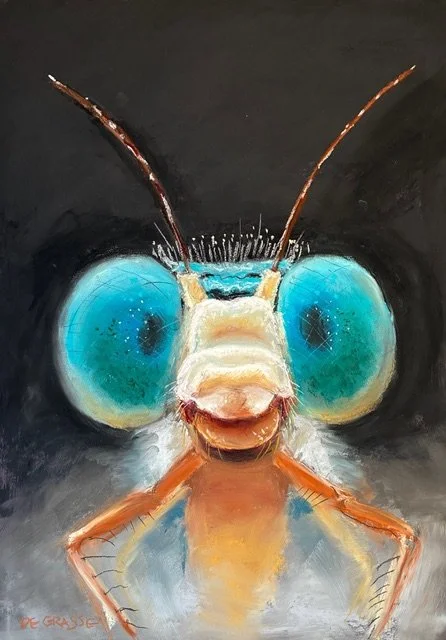 DIANE DE GRASSE ~ Dragonfly Close-Up - "So many choices for 'Close-up'. I spotted this little guy on the internet, and since I’ve raised butterflies and love nature, this would be his chance. I alcohol-washed a black background on eggplant Colorfix p