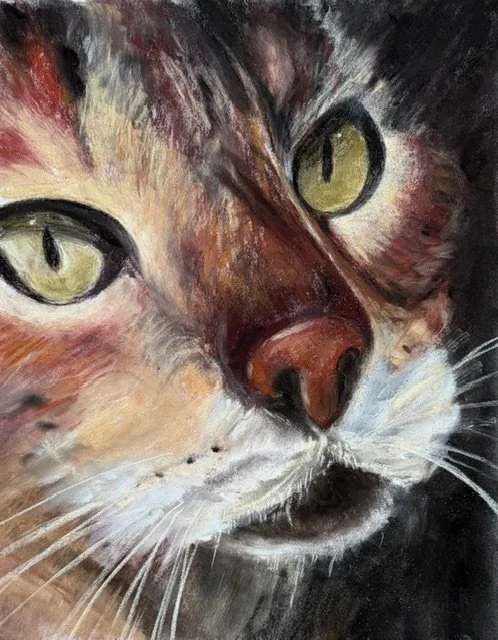CAROL ROLLICK ~ 11 x 8.5, white Pastelmat, Nu-Pastels and Pan Pastels - "Thanks for the extra days! This is my cat Maximillian the Magnificent. He is my boss, my constant companion. Thank you for keeping my mind on the joy of painting!"