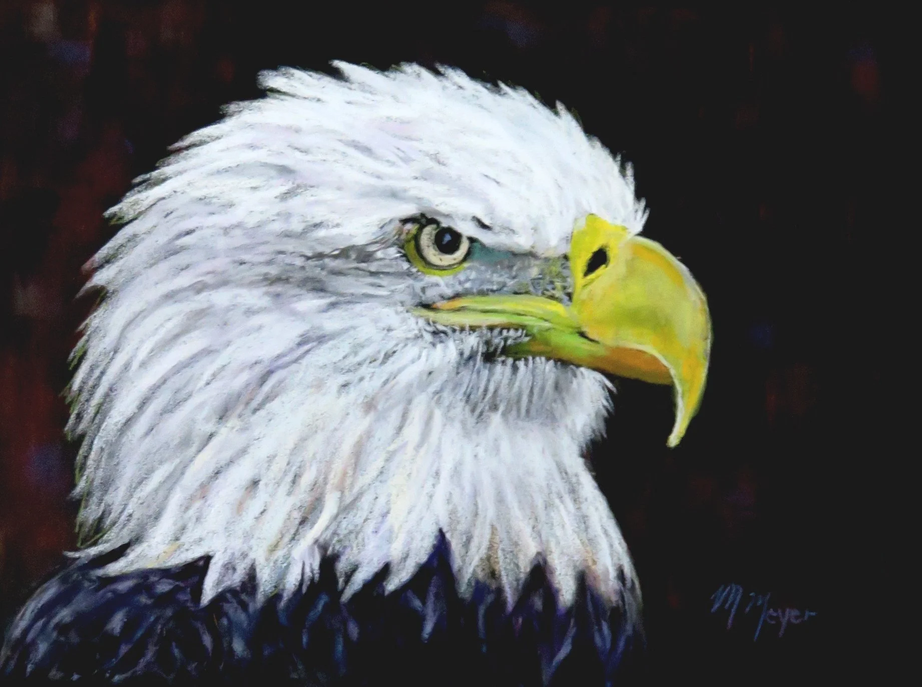 MERYL MEYER ~ Eagle Eye, 9 x 12, Canson Charcoal Black Paper, soft pastel - "Eagle eyes are exceptionally sharp. They can spot small prey as far away as 2 miles.
They have enhanced acuity and can perceive red, green and blue. Their transparent 3rd ey