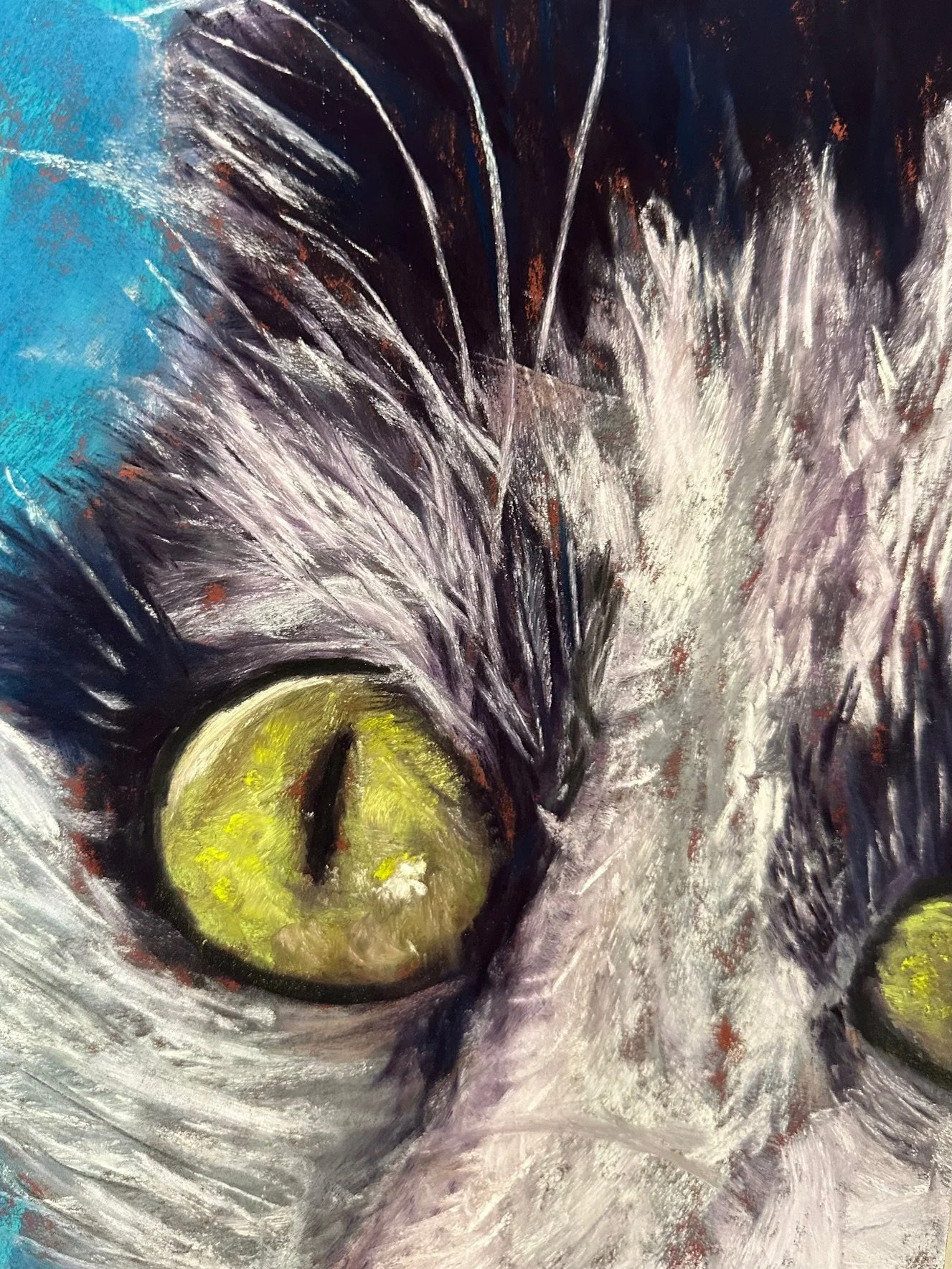 KAREN KANAUB ~ 11 x 9 - "I did my cats eye on terracotta sanded paper. I wasn’t happy with it and I brushed as much of the pastels off that I could and then alcohol washed the paper."