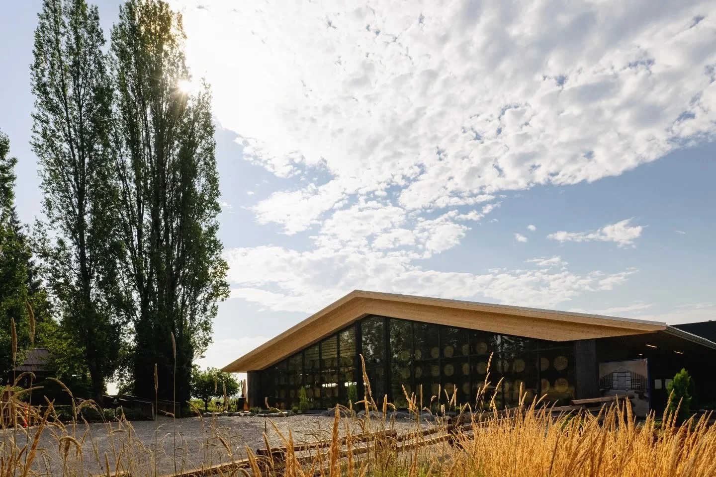 [Award Winning Cowichan Valley Wine]

Wine is defined as much by the sun, grapes, and soil as by the hands that make it and by the people who drink it. Yes, that means you. If nobody drank wine, nobody cared about this complex and beautiful experienc