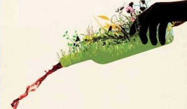  What Is In The Bottle