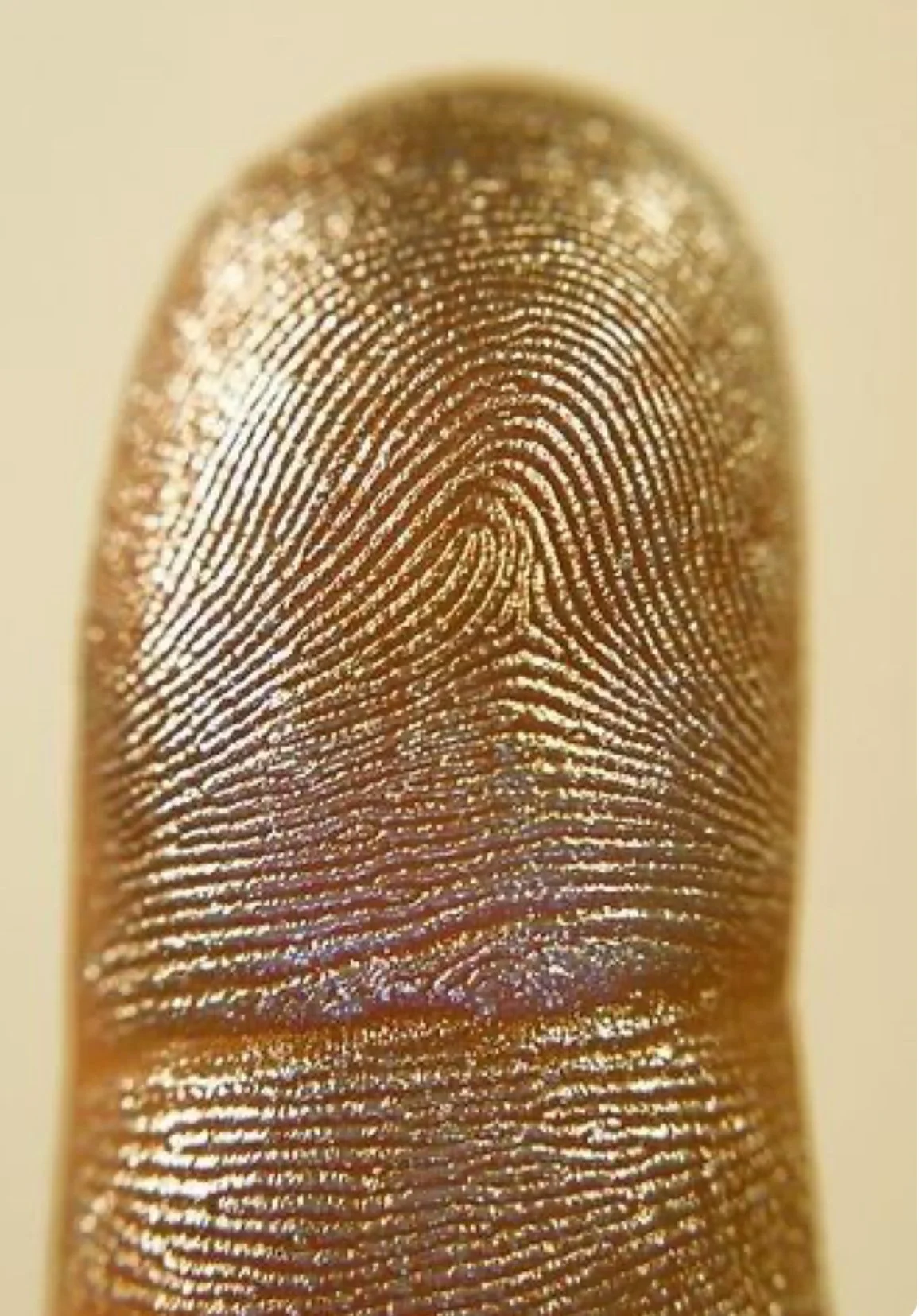 Close-up of a human fingerprint on a gold surface.