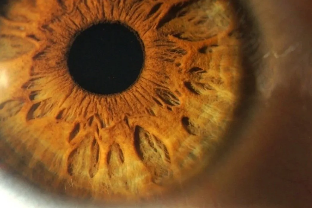 Things That Make Me Go WTF After My Spiritual Awakening