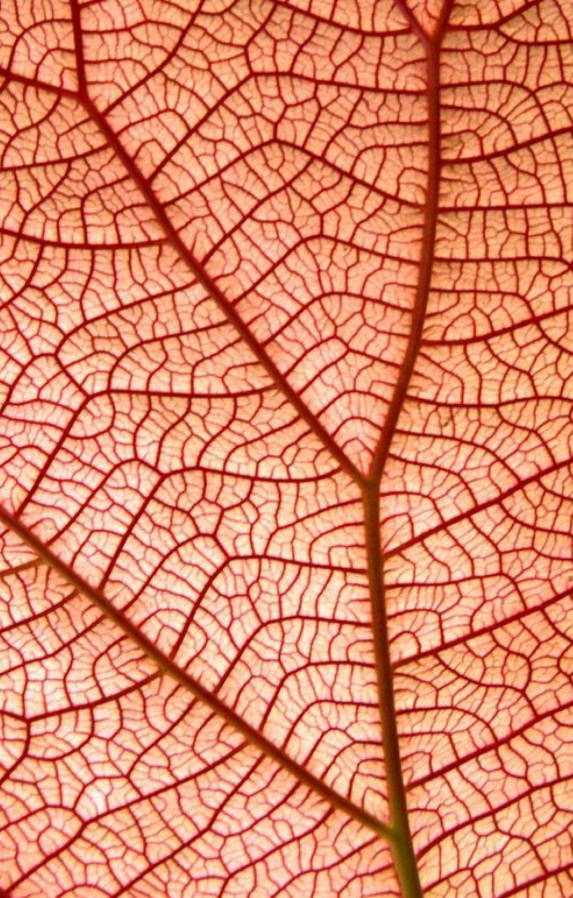 Depression and The Matrix