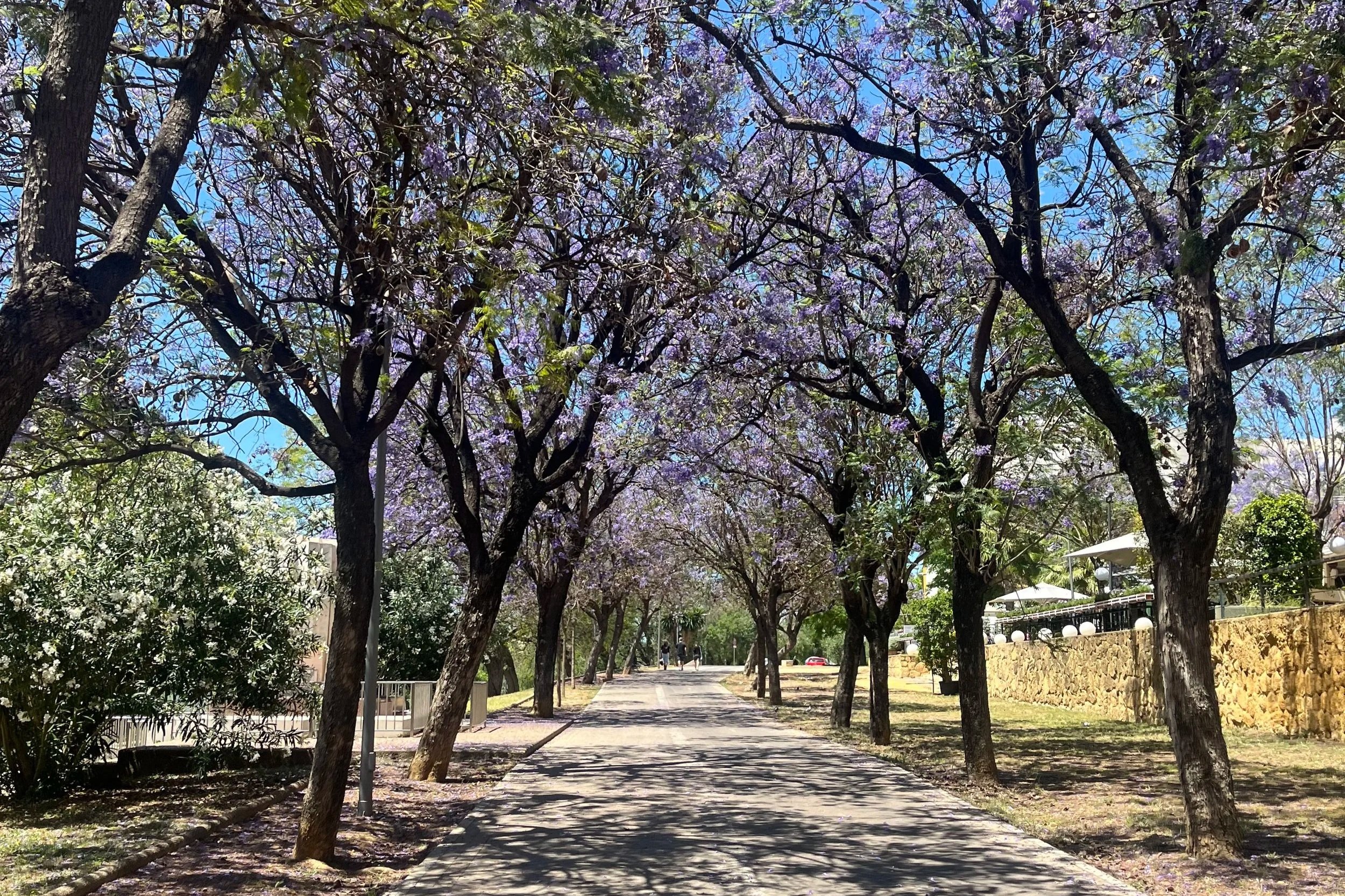 The Moment You Return to Yourself